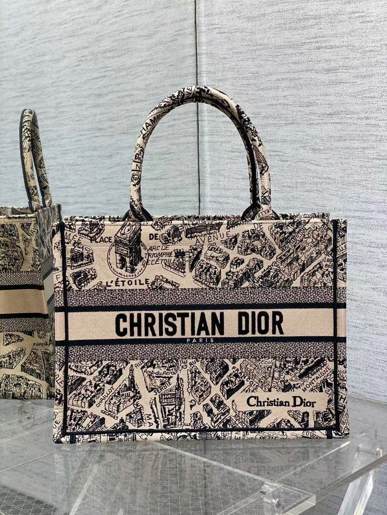 MEDIUM Dior BOOK TOTE Plan de Paris Embroidery Beige High
