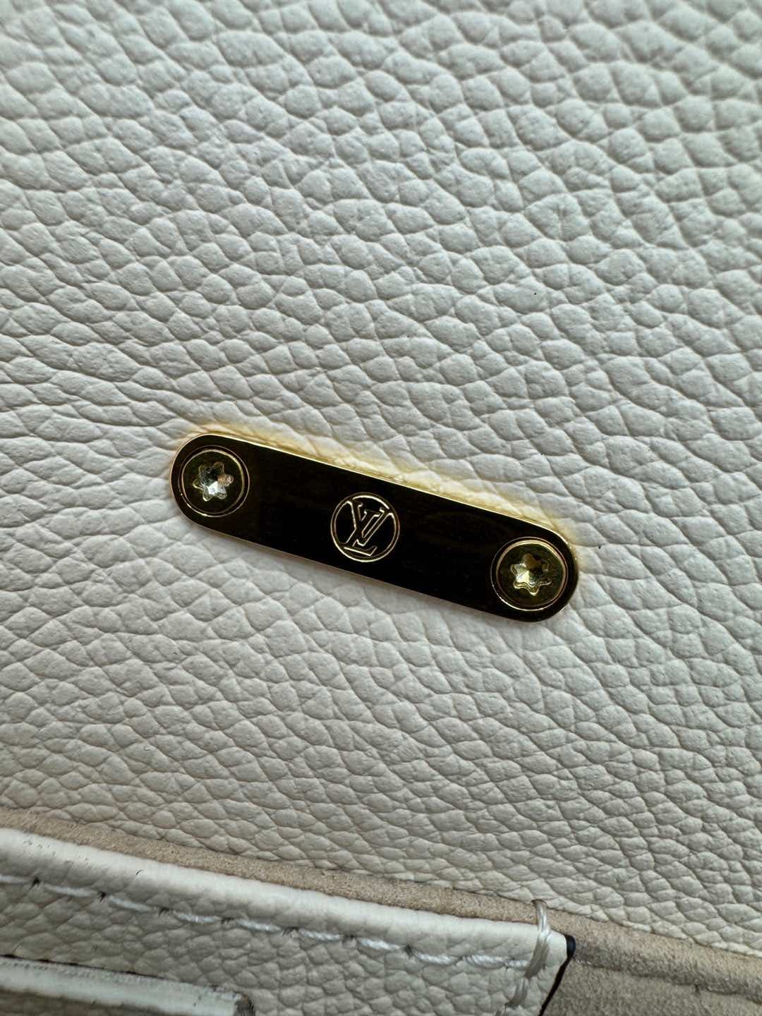 Louis Vuitton Madeleine Nano Embossed, grained cowhide leather M12145 Top