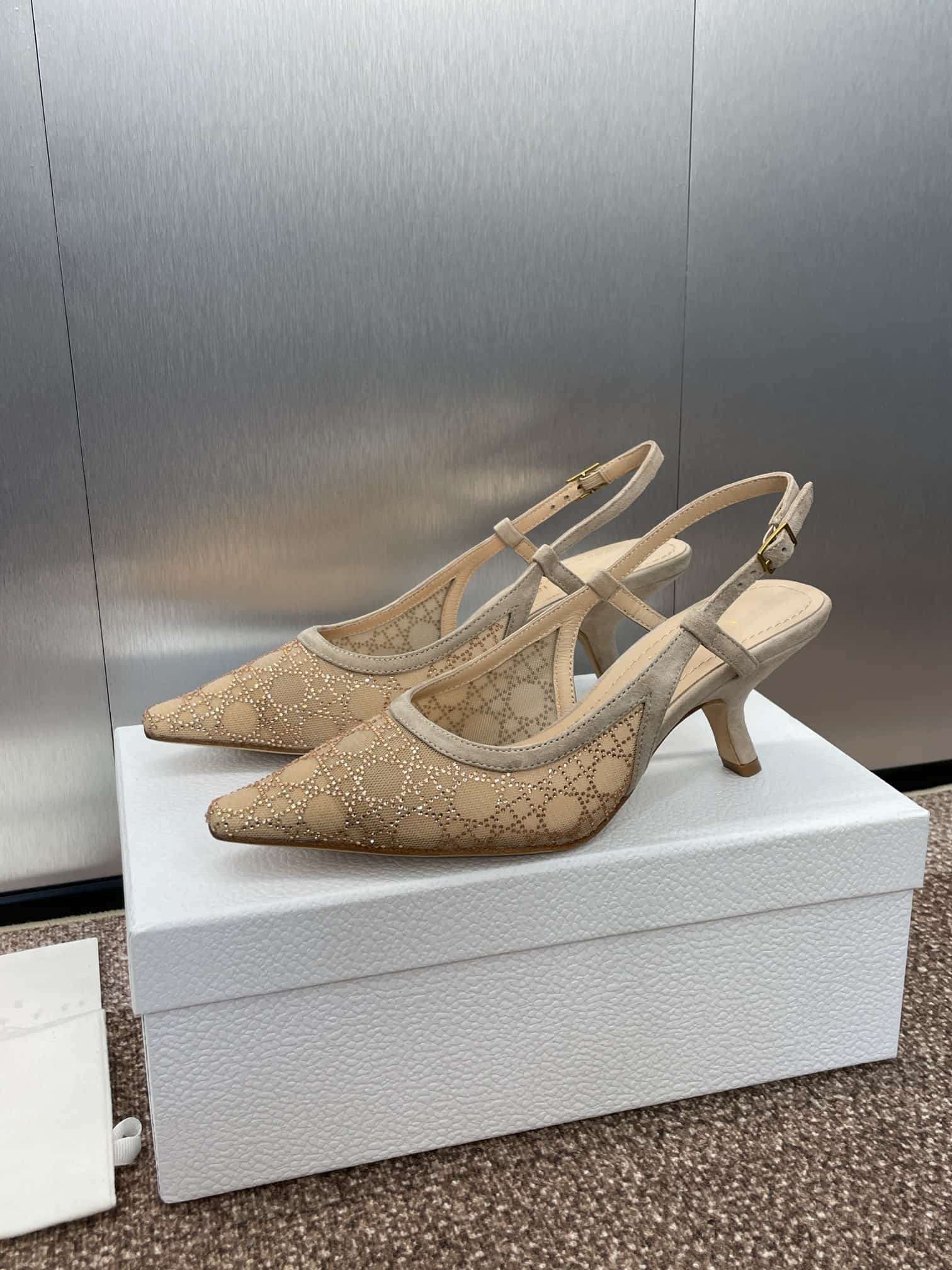 Dior Capture Slingback Pump shoes Low  Women