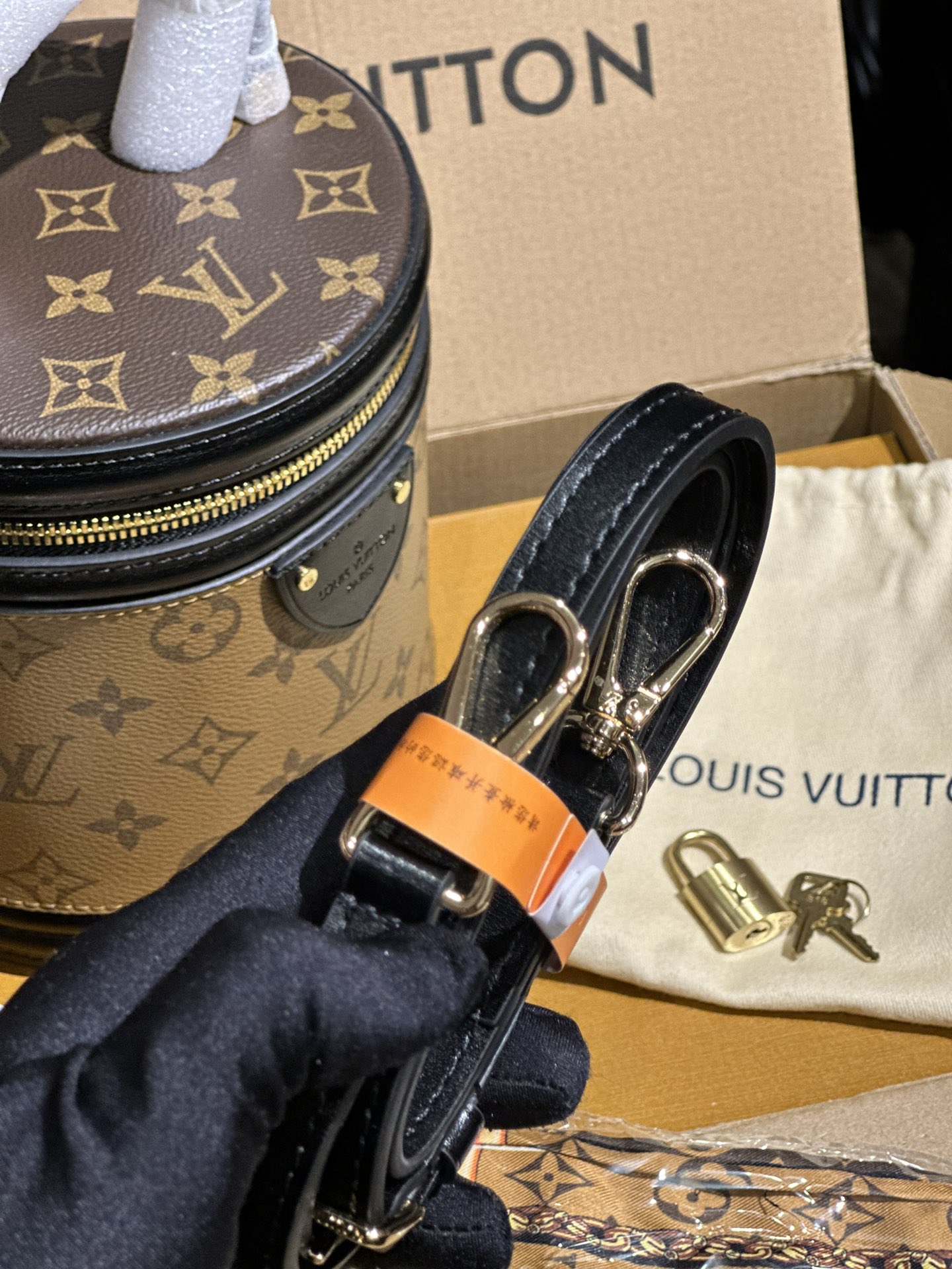 Louis Vuitton Cannes Monogram and Monogram Reverse coated canvas M43986 High