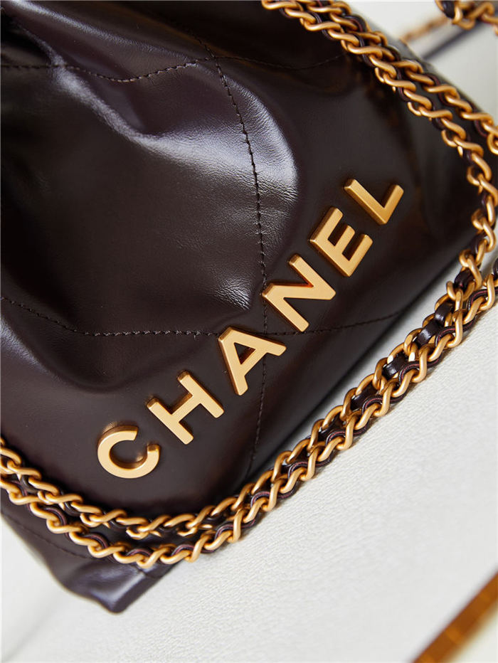 Chanel 22 MINI HANDBAG Shiny Calfskin Coffee & Gold-Tone Metal AS3980 A