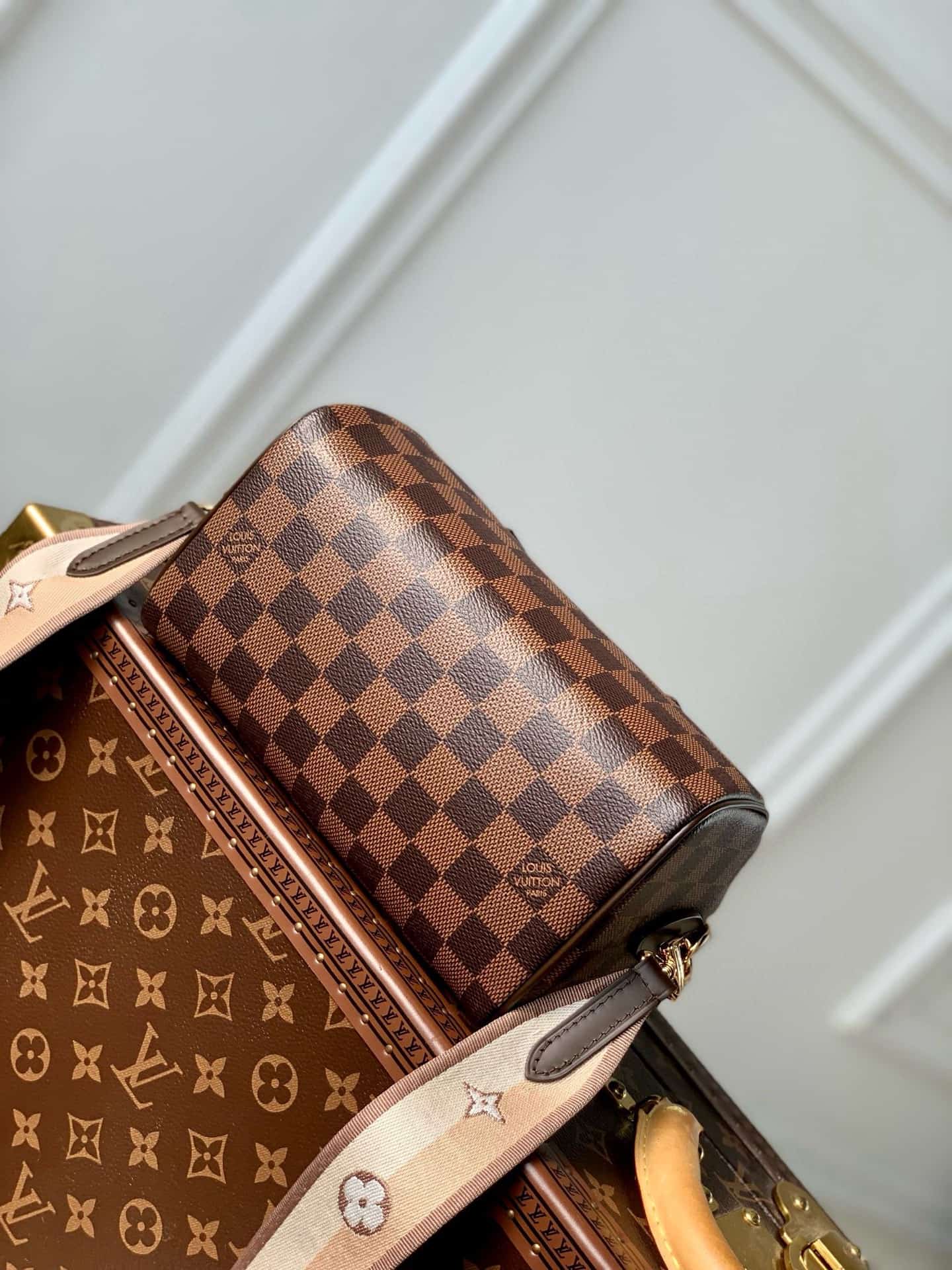 Louis Vuitton Speedy Bandoulière 20 Damier Ebene coated canvas / Cowhide leather N40489 High