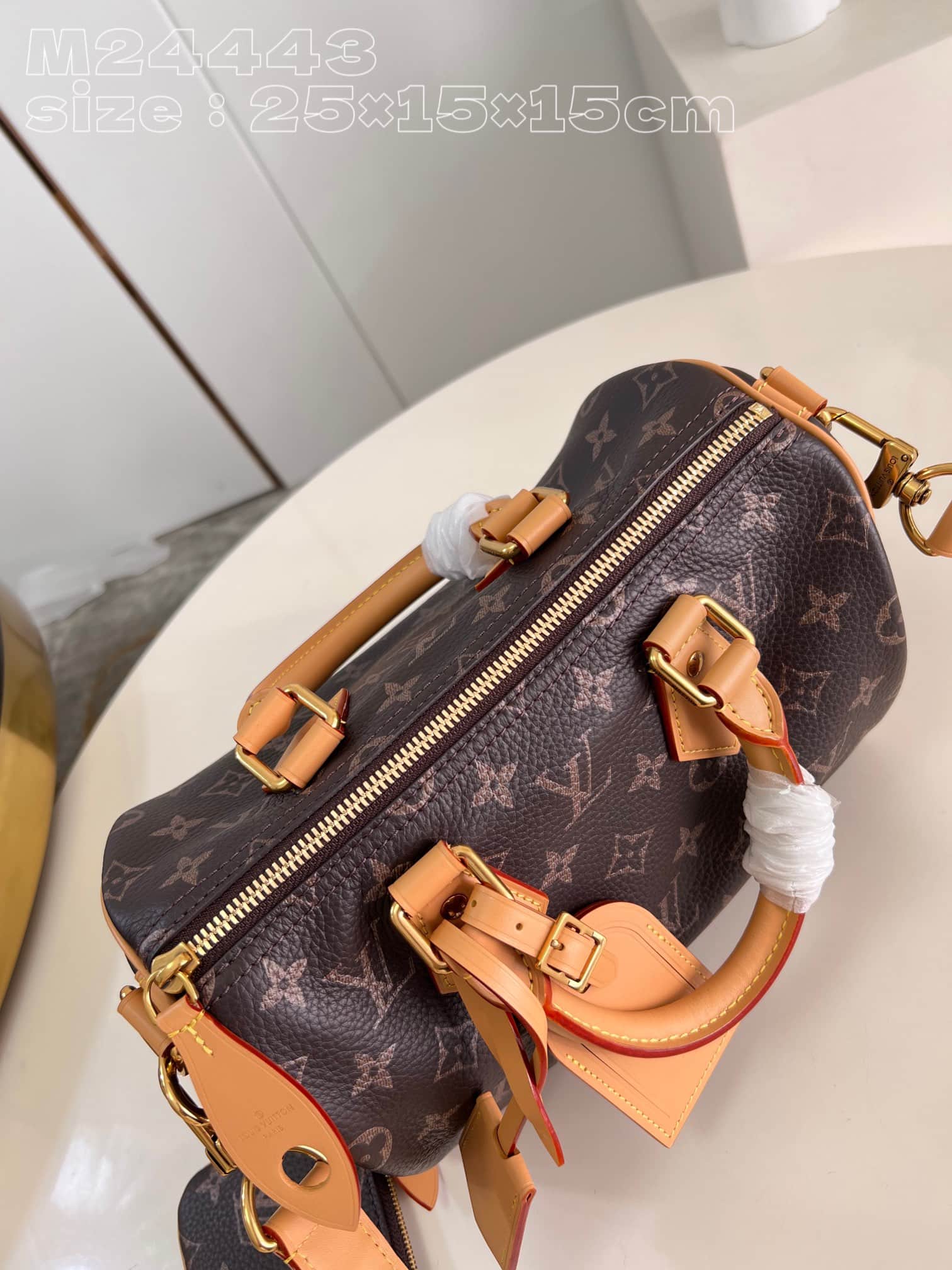 Louis Vuitton Speedy P9 Bandoulière 25 Soft calfskin M24443 High