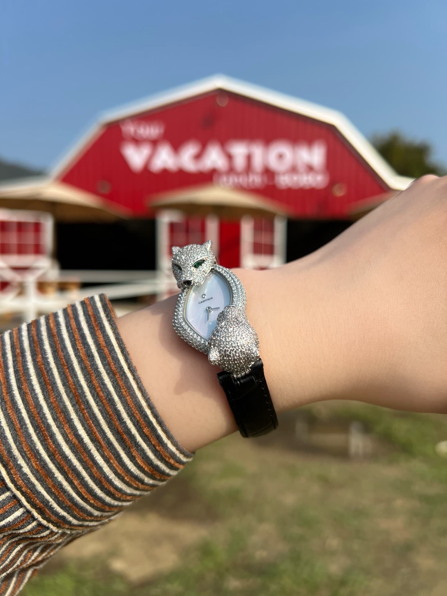 Cartier Panthère Crash Jewelry Watch TOP