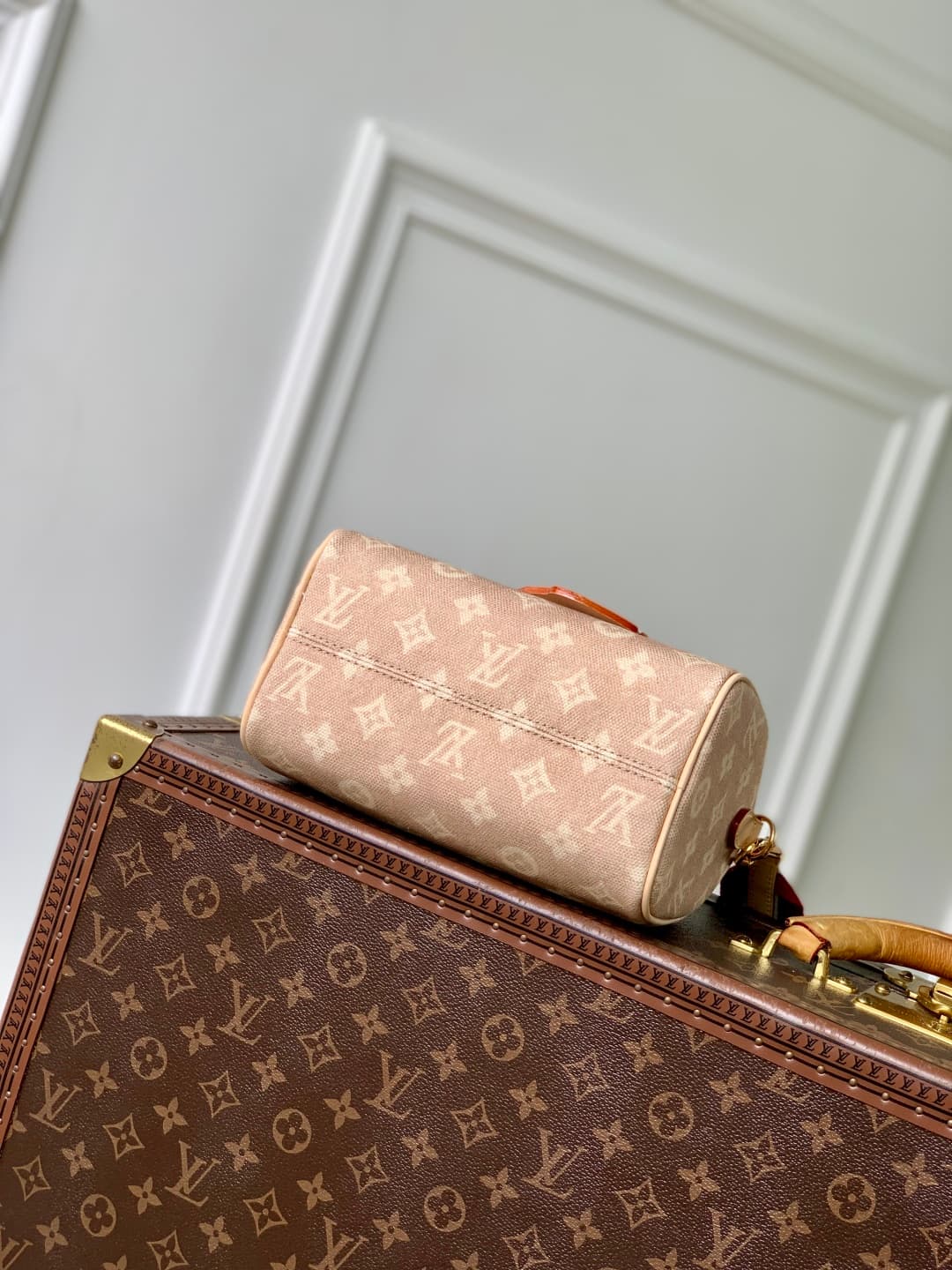 Louis Vuitton Speedy Bandouliere 20 Meowgram coated canvas M15151 High