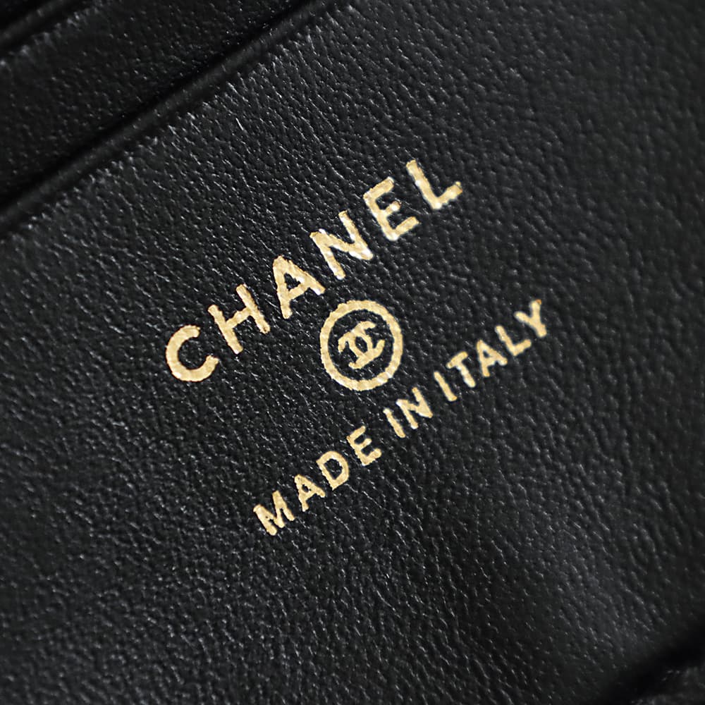 Chanel Small Vanity with chain Lizard Embossed Calfskin & Gold-Tone Metal Black AS5195 A