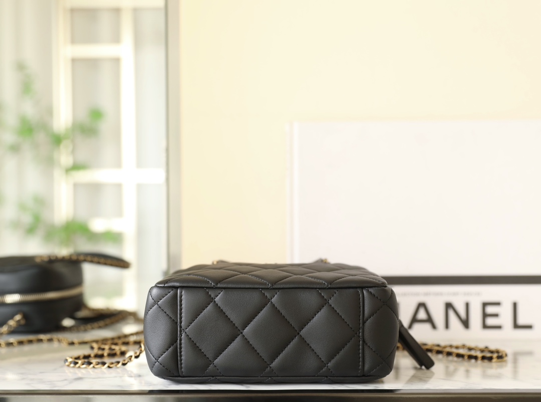 Chanel CAMERA CASE Shiny Lambskin & Gold-Tone Metal TOP