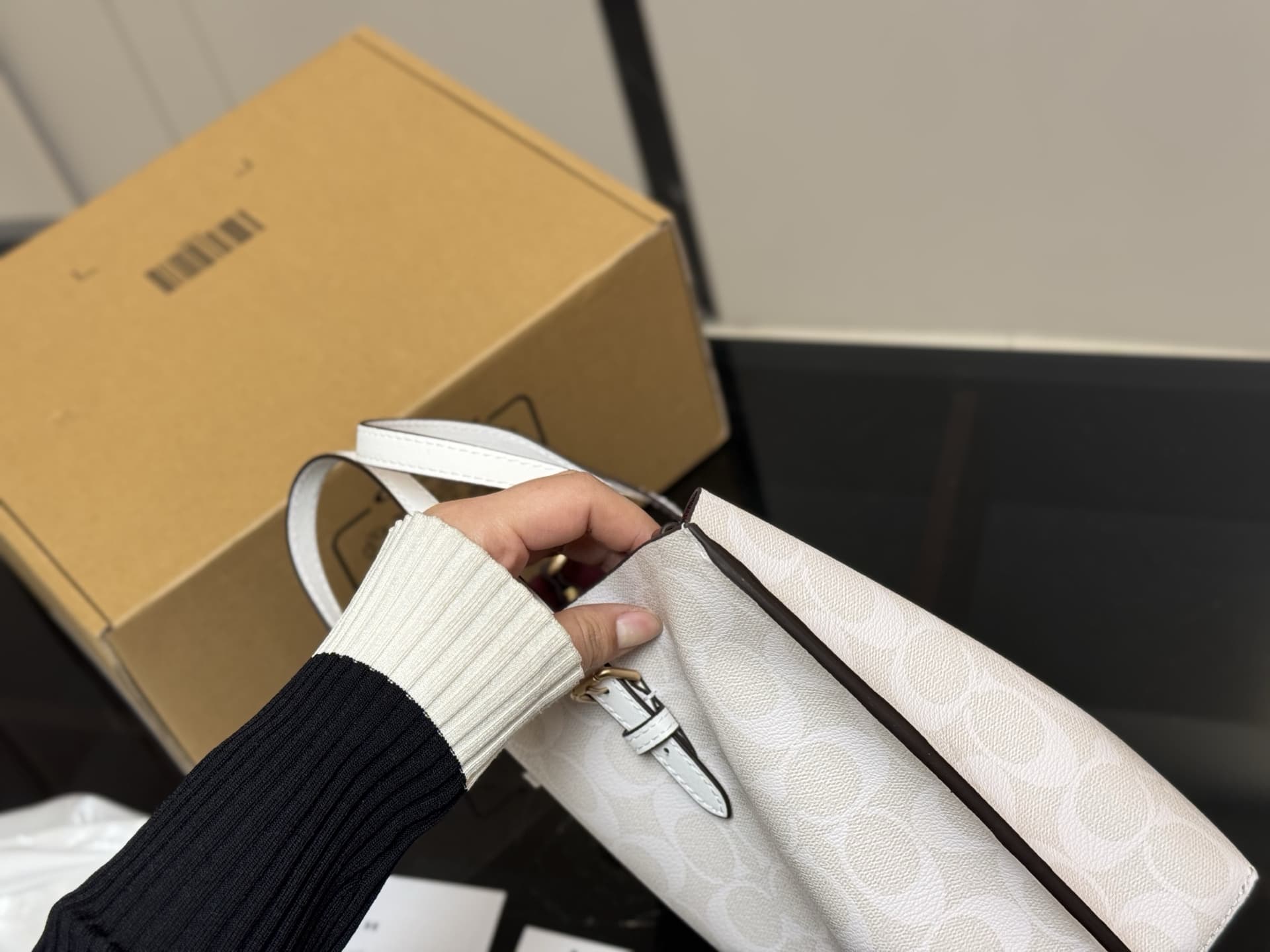 Coach Mollie Tote Bag In Signature Canvas