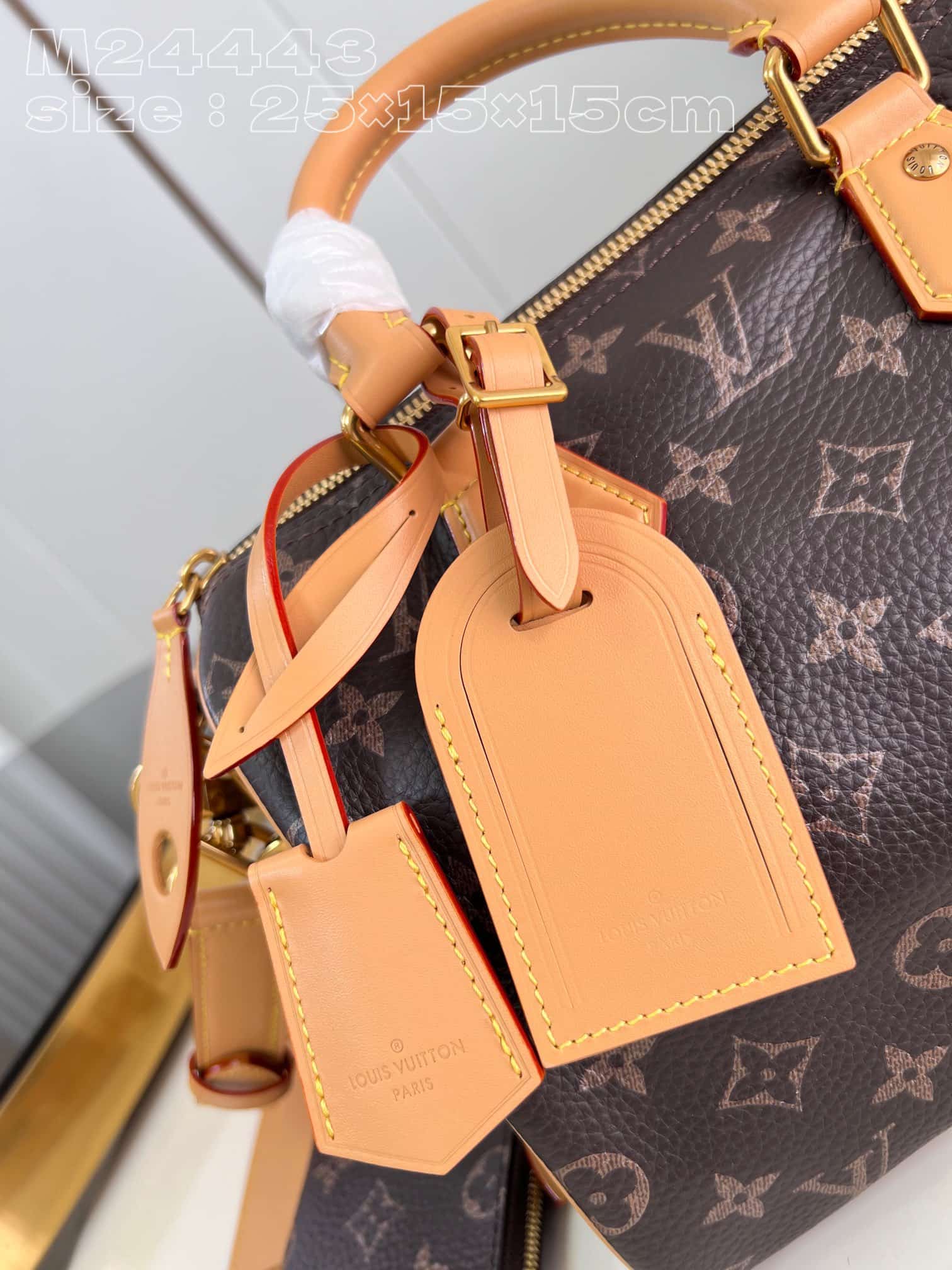 Louis Vuitton Speedy P9 Bandoulière 25 Soft calfskin M24443 High