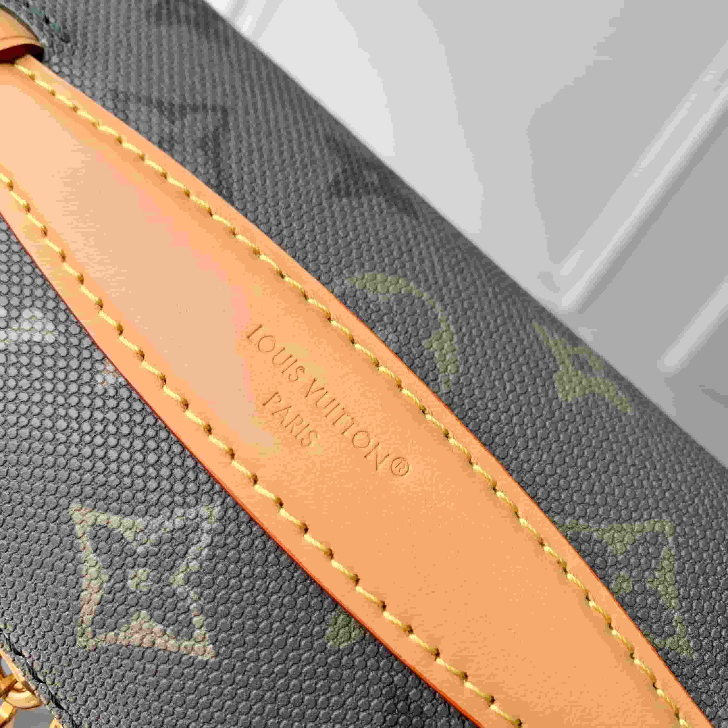 Louis Vuitton Rush Bumbag Monogram Surplus Canvas M26933 High