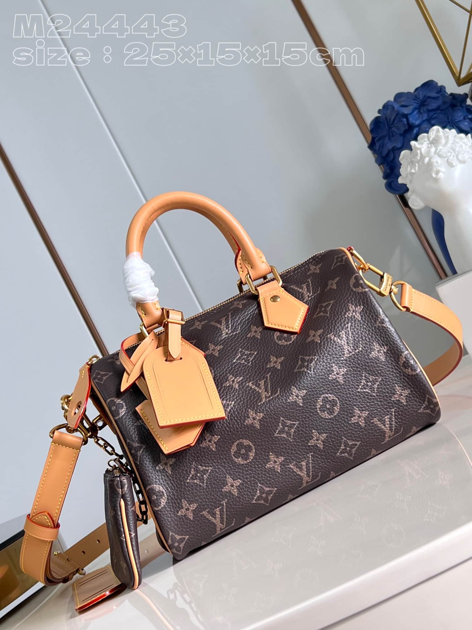 Louis Vuitton Speedy P9 Bandoulière 25 Soft calfskin M24443 High
