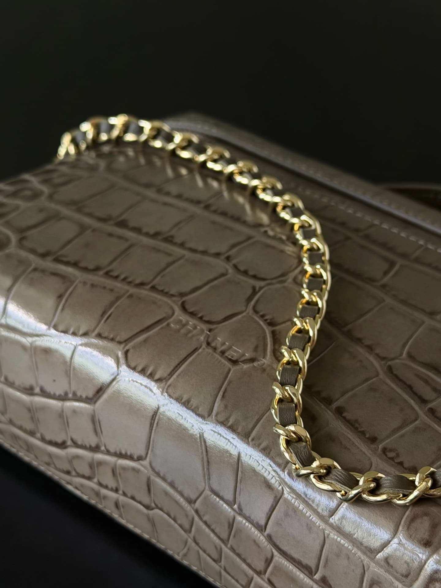 Chanel Large Vanity with chain Crocodile Embossed Calfskin & Gold-Tone Metal Dark Khaki  AS5347 A