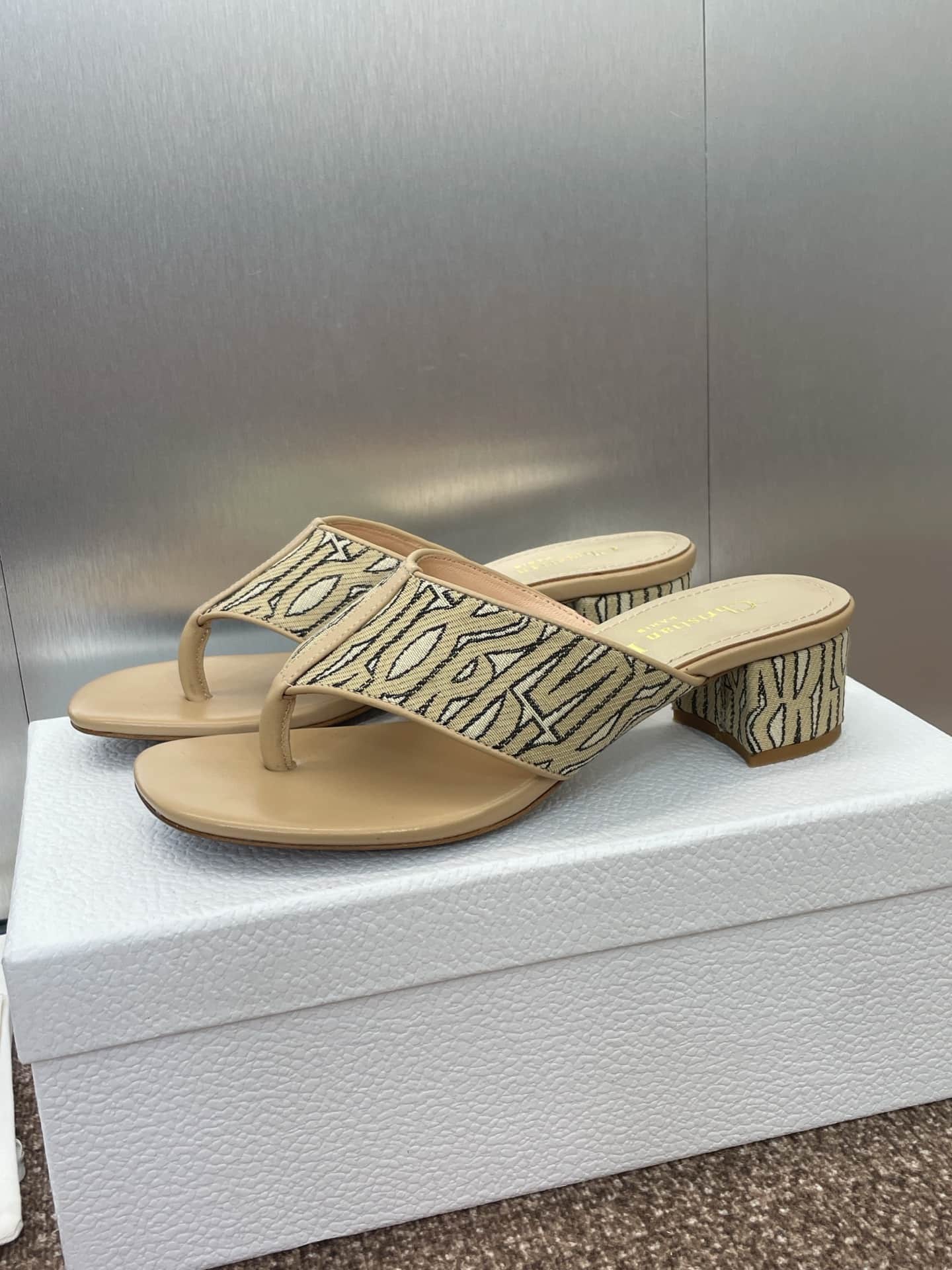Dior Oblique Alias Flat Sandal Shoes Women