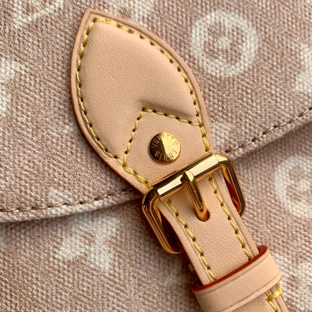 Louis Vuitton Escape Meowgram coated canvas M15134 High