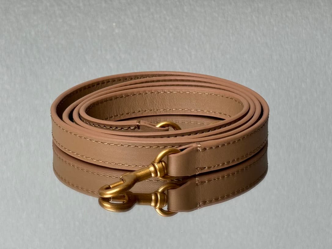 Balenciaga Rodeo Medium Bag in Latte Leather With Gold-Tone Metal TOP