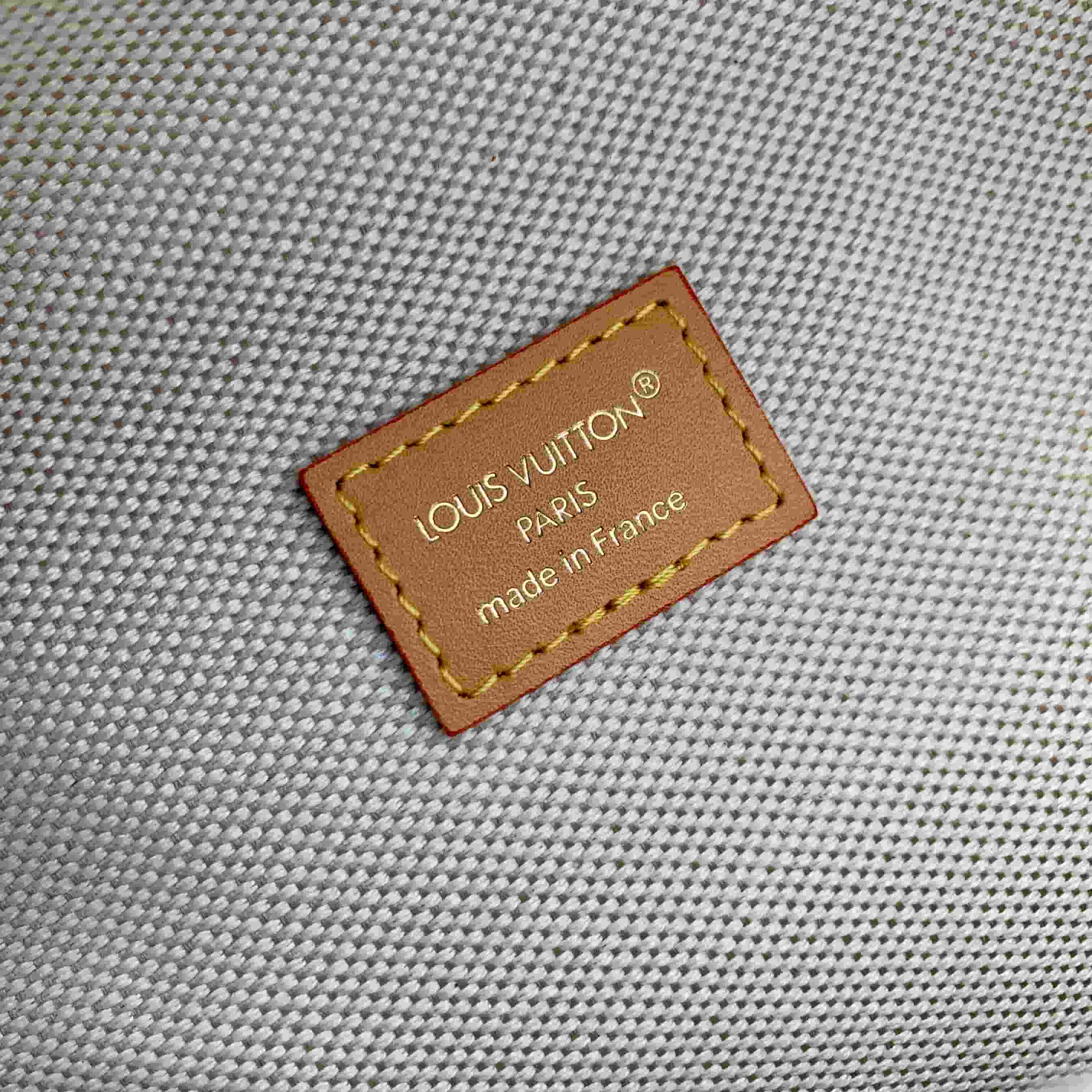 Louis Vuitton Rush Bumbag Monogram Surplus Canvas M26933 High