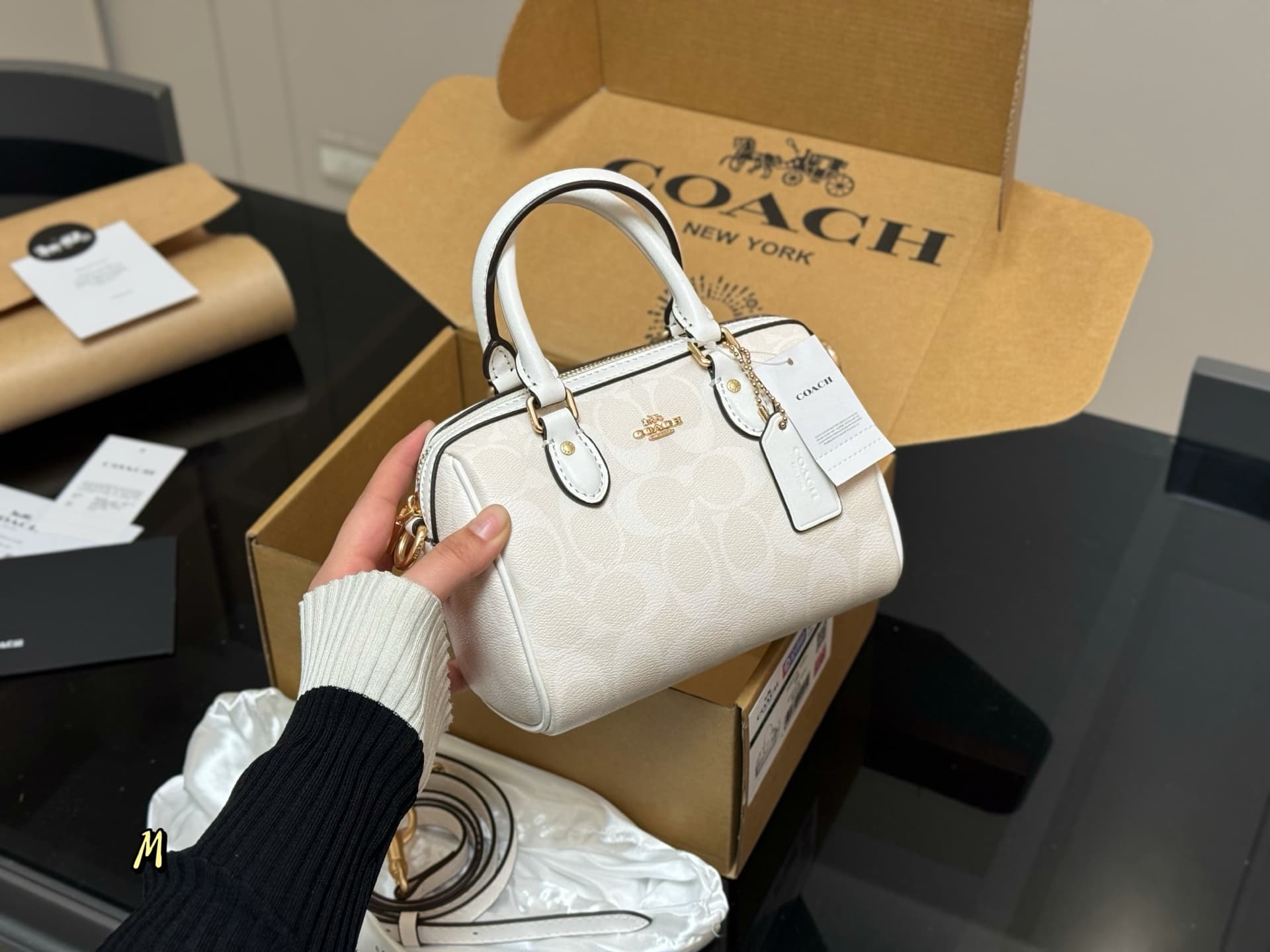 Coach Mini Rowan Crossbody Bag