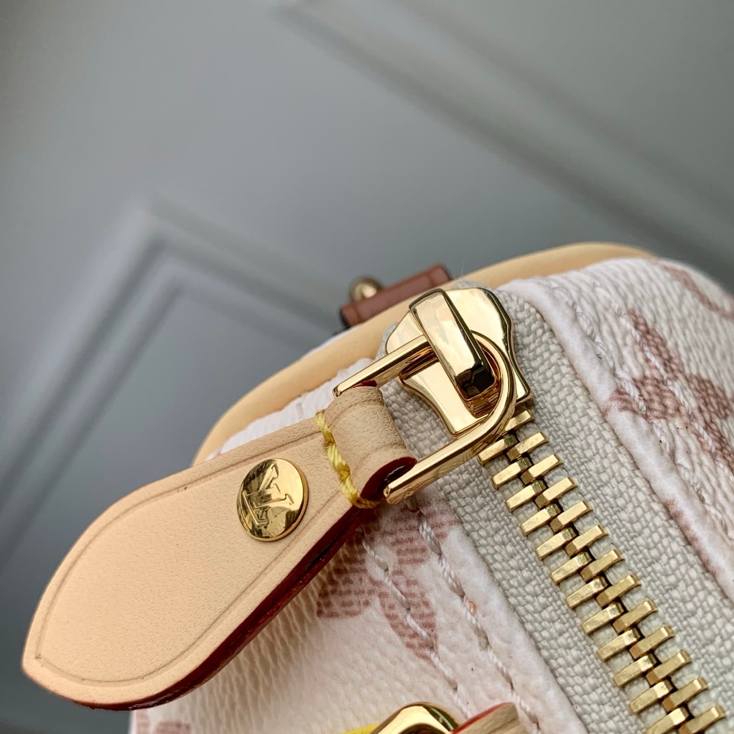 Louis Vuitton Nano Speedy Monogram Dune Coated canvas M29781 High