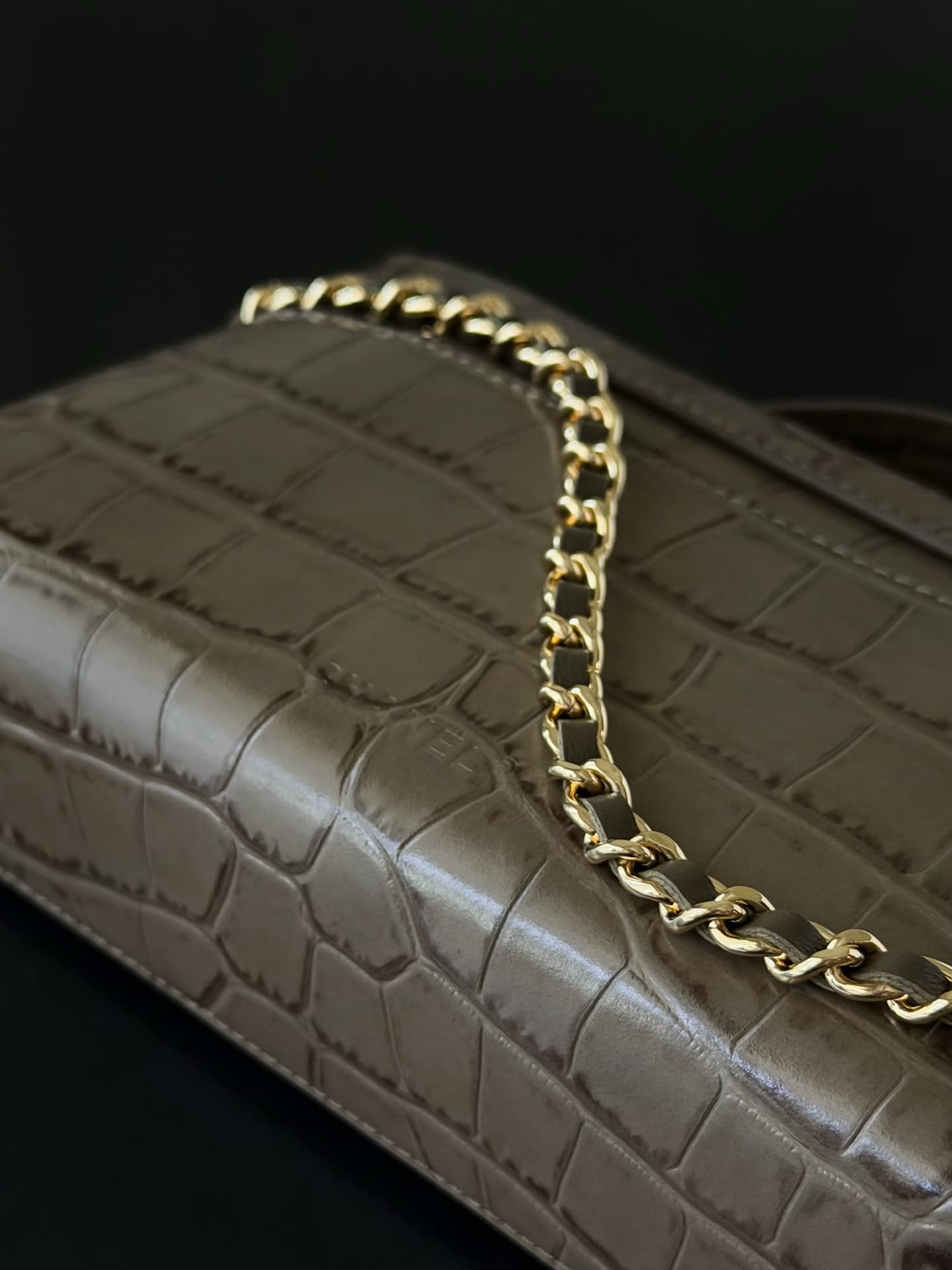 Chanel Small Vanity with chain Crocodile Embossed Calfskin & Gold-Tone Metal Dark Khaki  AS5346 A