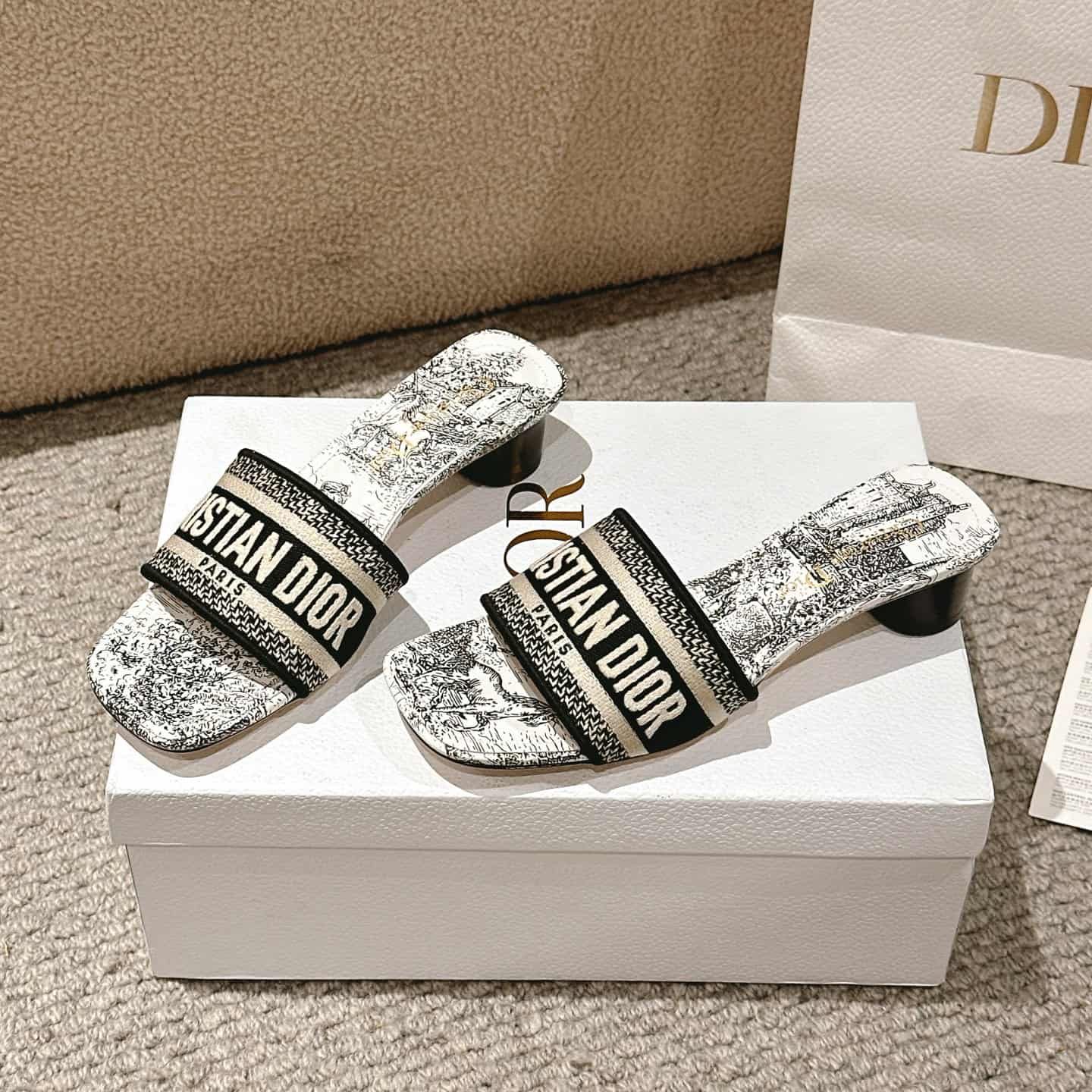 Dior Dway Slide Shoes Women