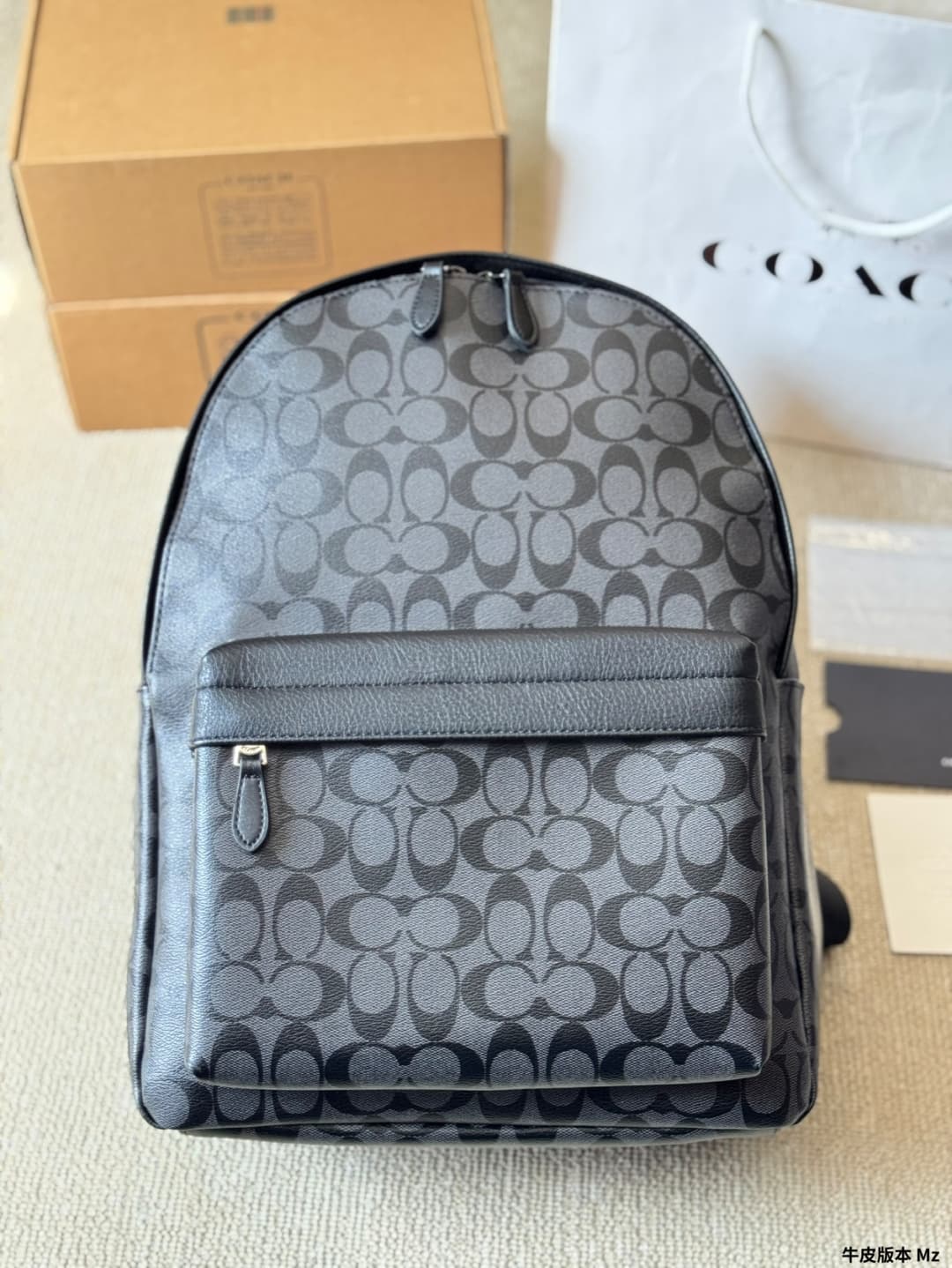 Coach Charles Backpack In Signature Canvas