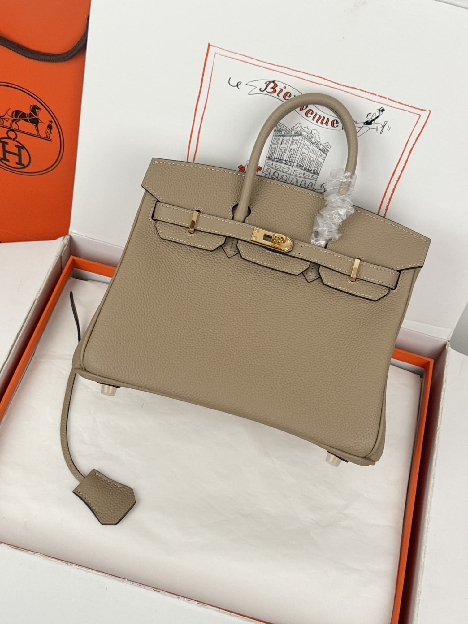 Hermes Birkin 25/30 Bag Togo Calfskin Leather Trench High