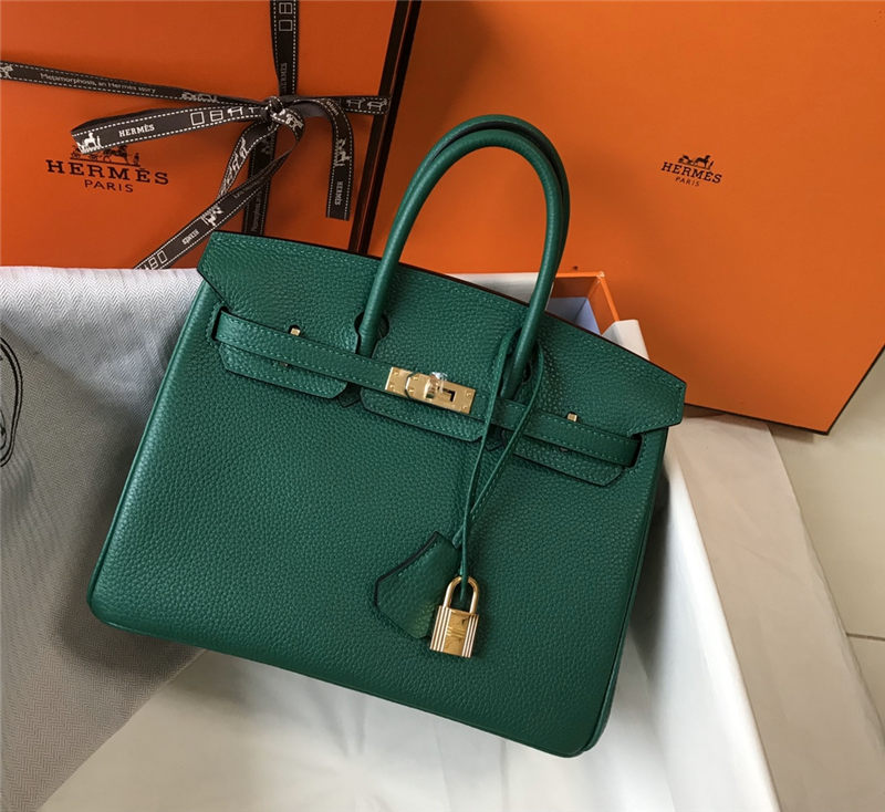 Hermes Birkin 25/30/35cm Bag Calfskin Silver/Gold Metal In  Vert Vertigo High
