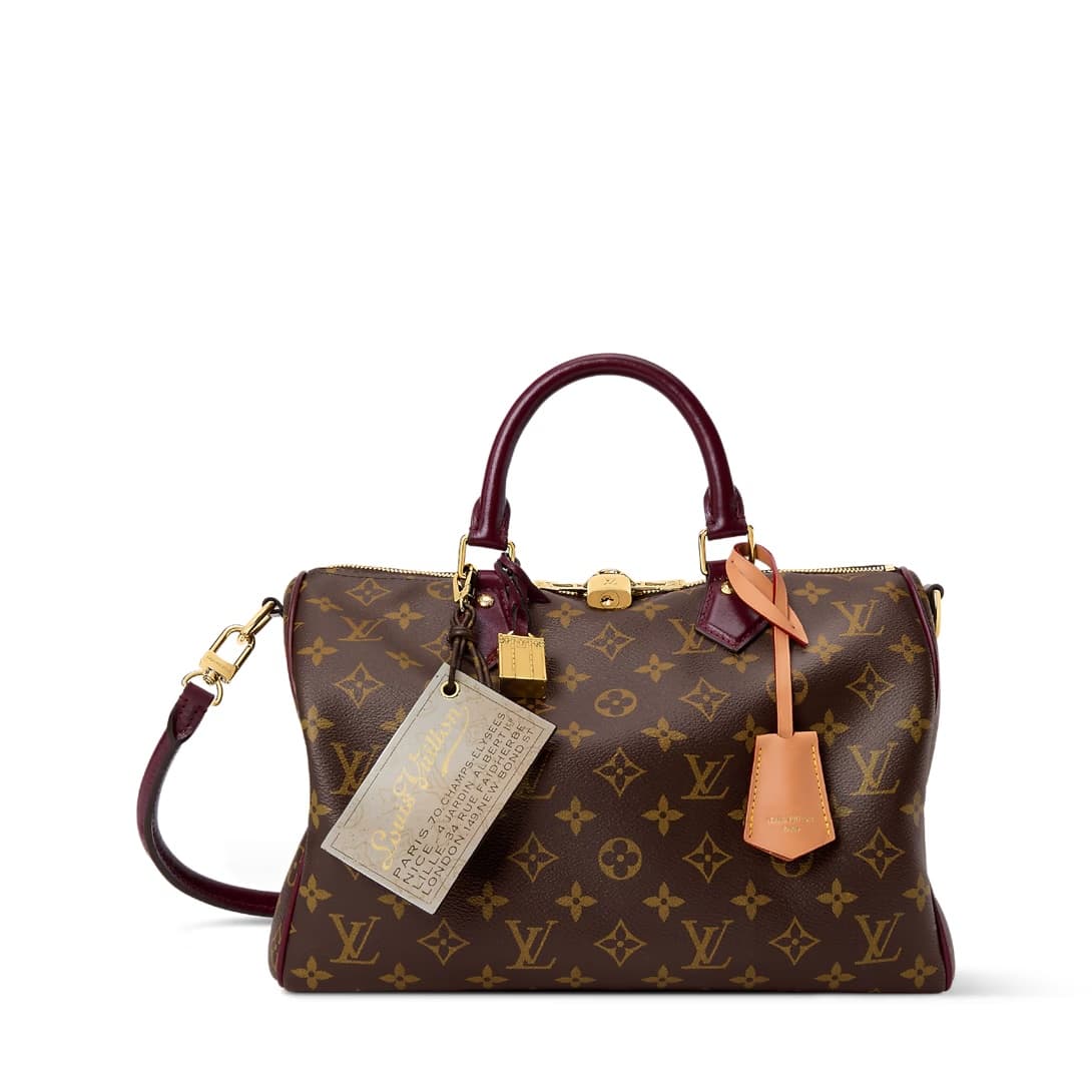 Louis Vuitton Speedy 30 Soft Celebration Monogram coated canvas M28379 TOP