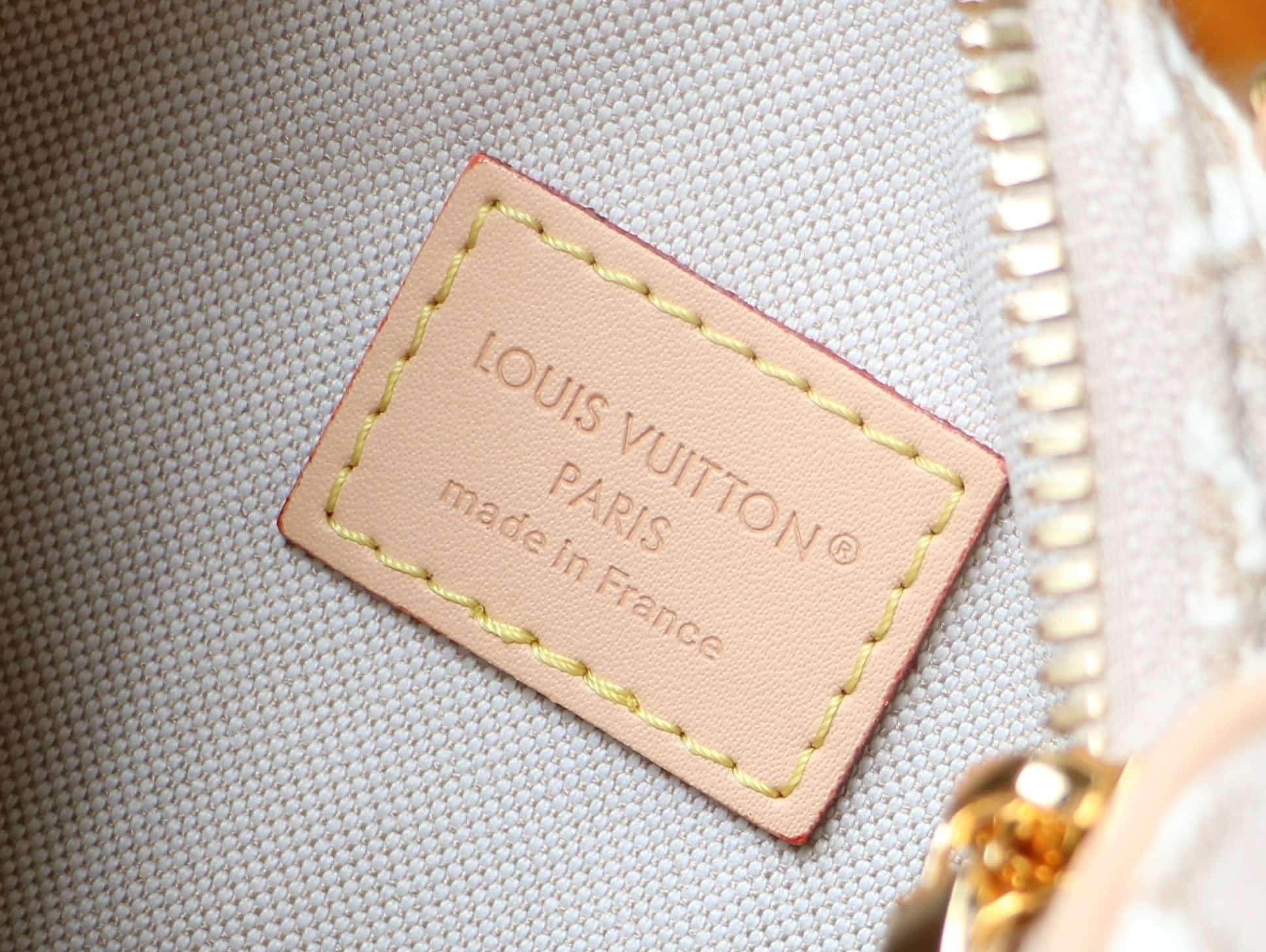 Louis Vuitton Nano Speedy Monogram Emblème Peuplier M28502 High