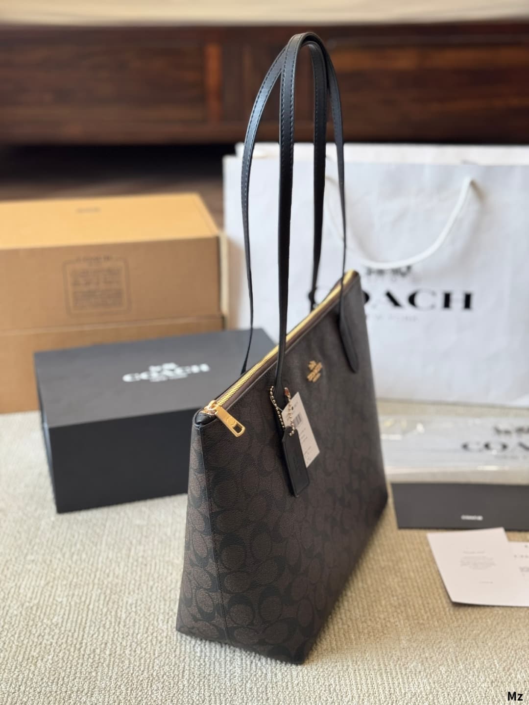 Coach Fiona Zip Tote Bag In Signature Canvas