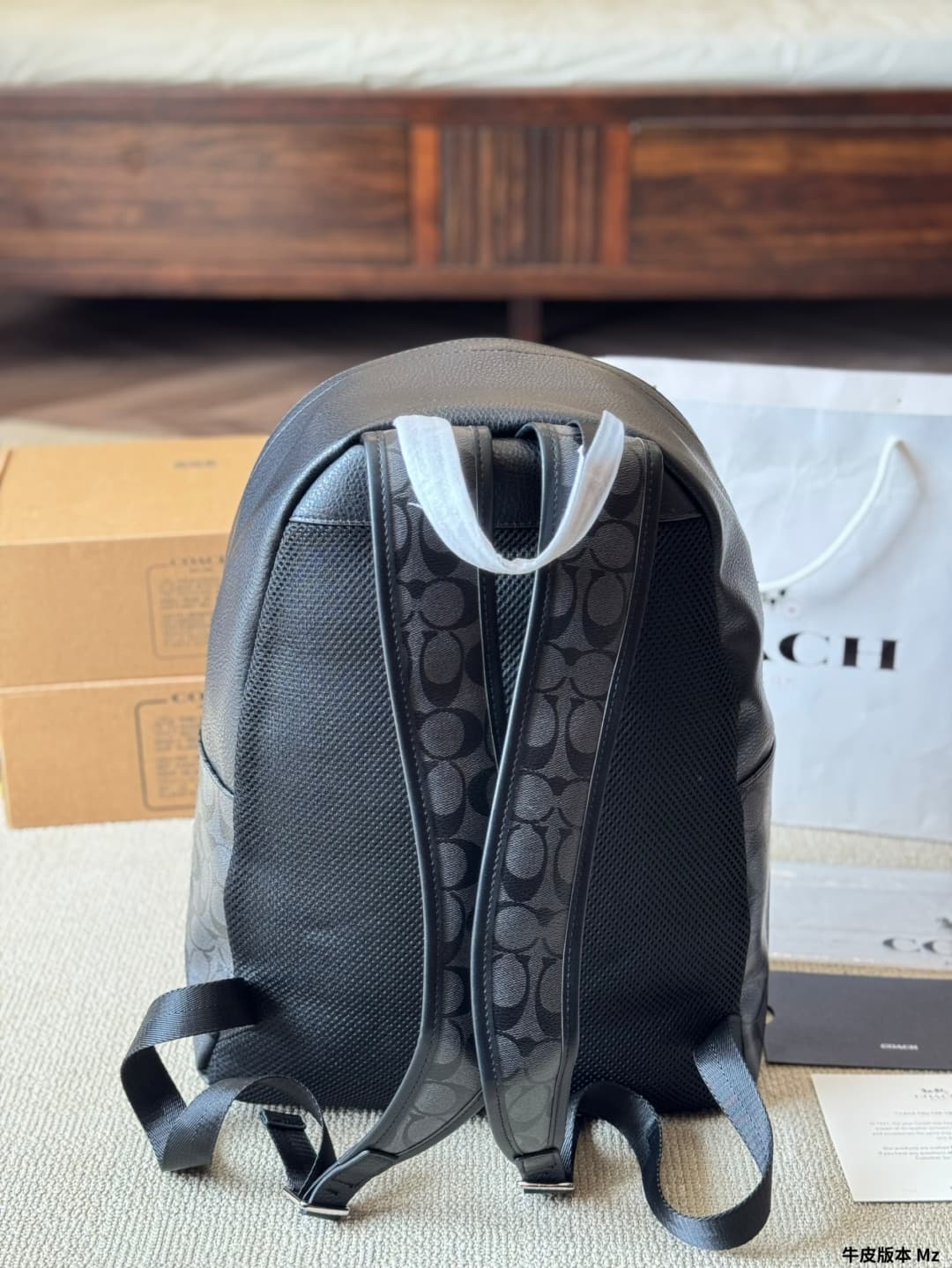 Coach Charles Backpack In Signature Canvas
