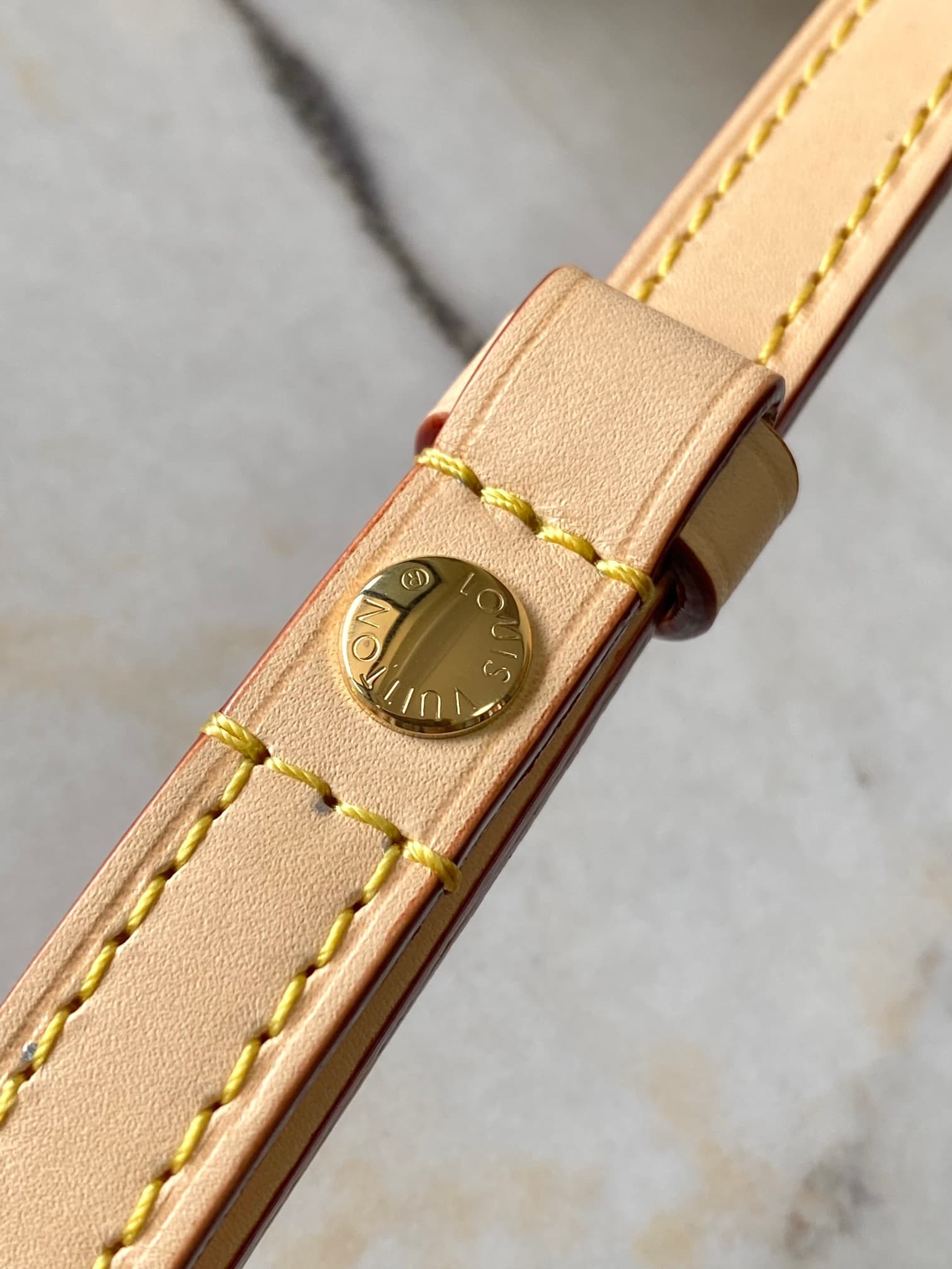 Louis Vuitton Travels With Grace Coddington Wallet On Chain Ivy M15148 TOP