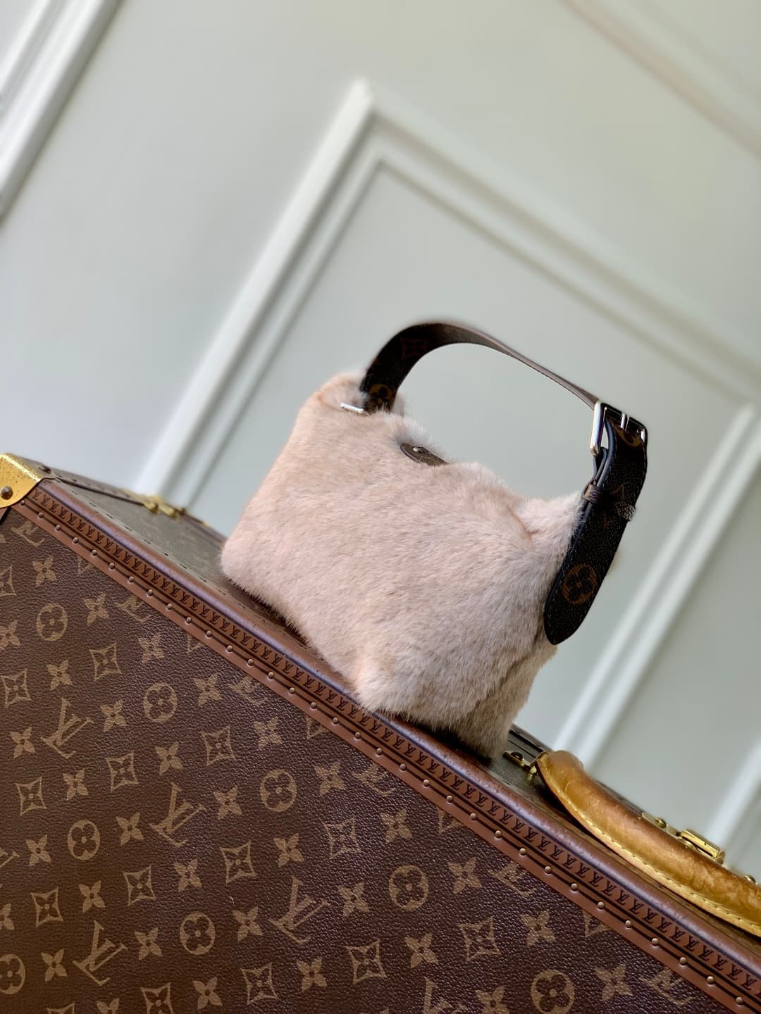Louis Vuitton Hills Pochette in soft mink fur M15031 High