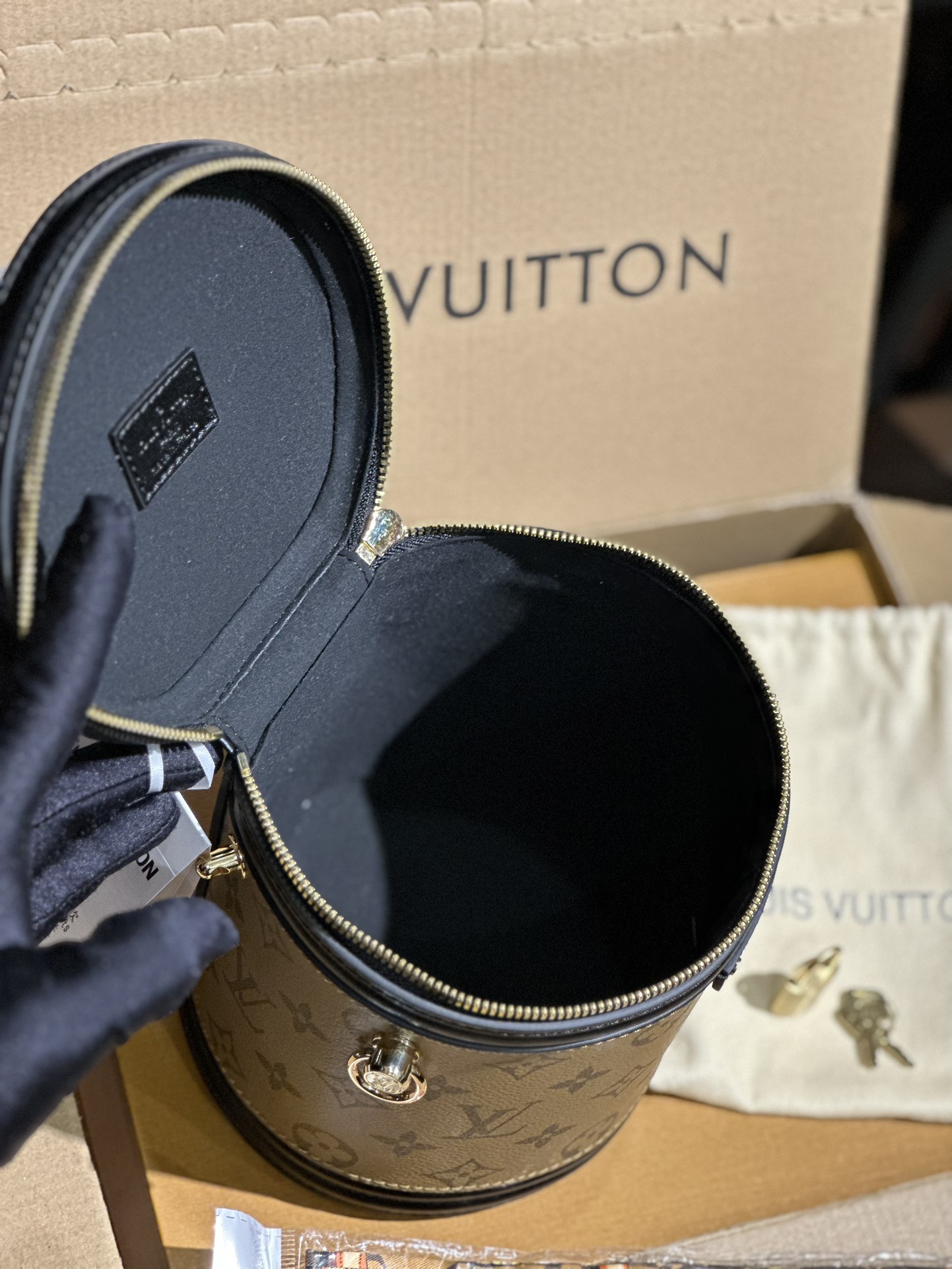 Louis Vuitton Cannes Monogram and Monogram Reverse coated canvas M43986 High