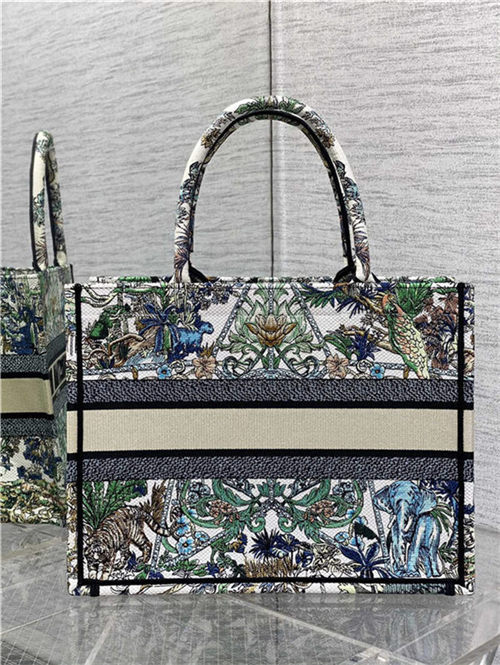 MEDIUM Dior BOOK TOTE Étoile de Voyage Embroidery High