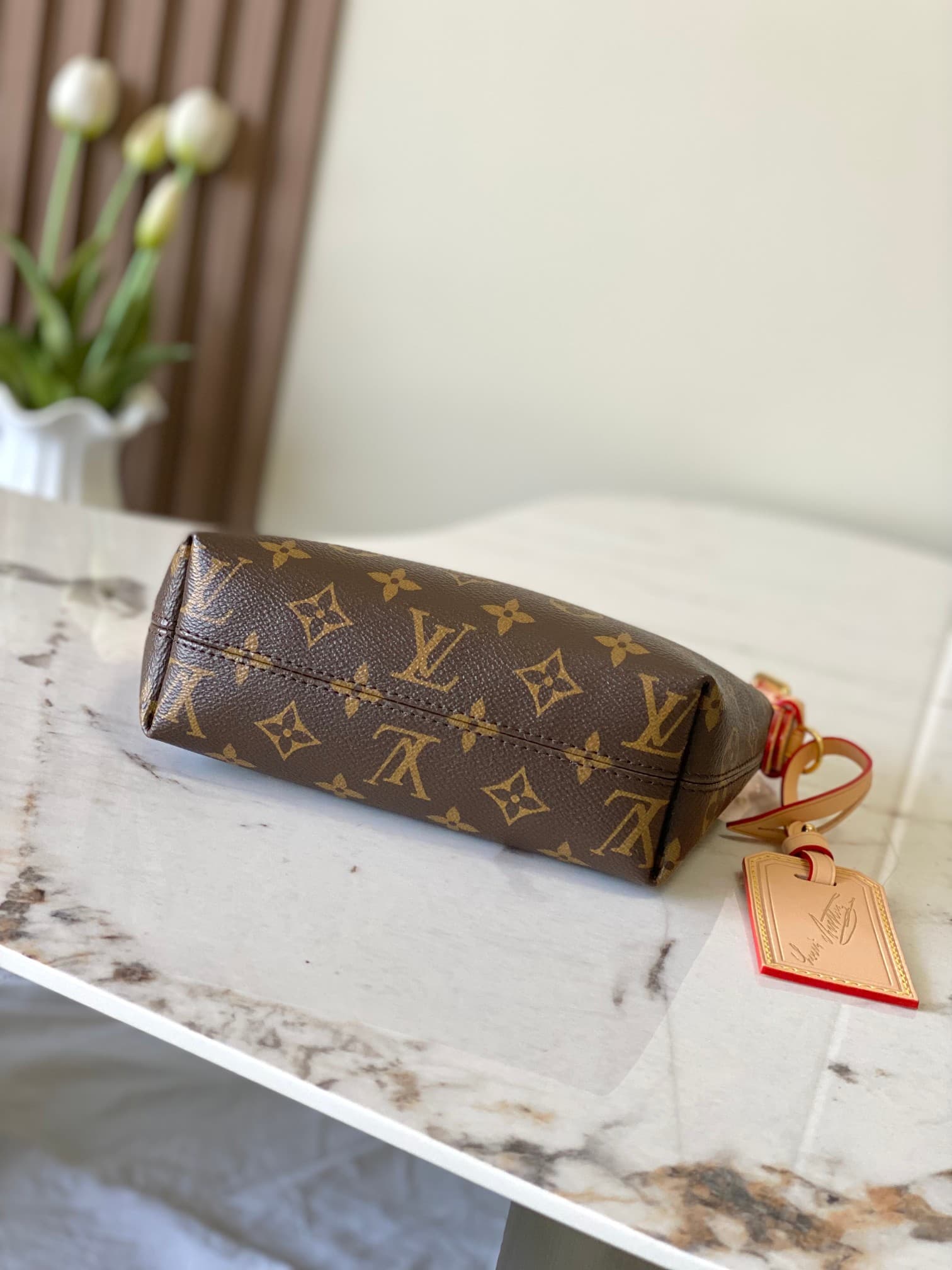 Louis Vuitton Pochette Hills Monogram coated canvas M27509 High
