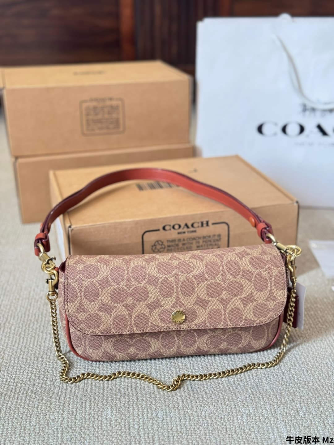 Coach Brook Flap Chain Bag