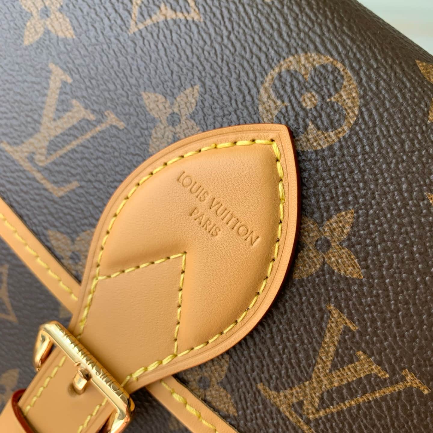 Louis Vuitton DIANE Backpack Monogram coated canvas M29766 High