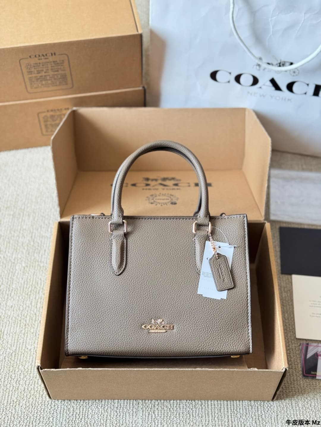 Coach Maggie Small Tote Bag