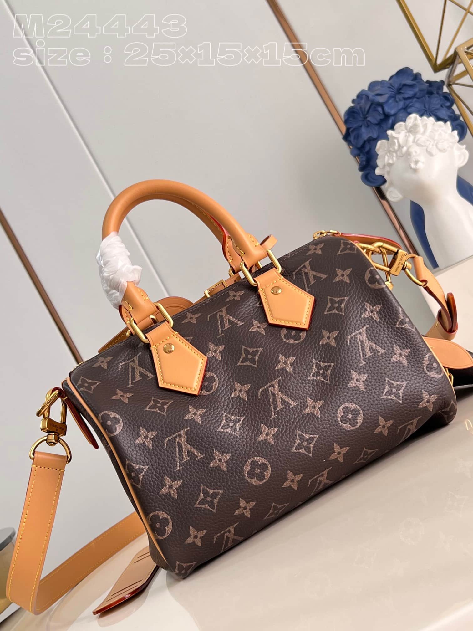 Louis Vuitton Speedy P9 Bandoulière 25 Soft calfskin M24443 High