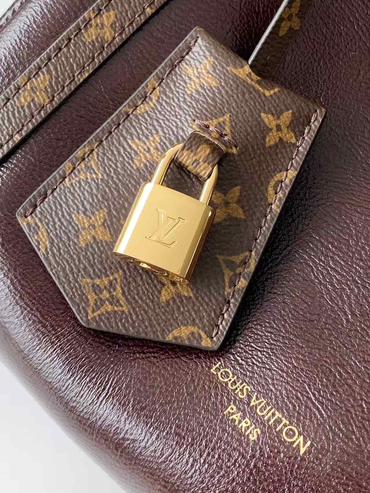 Louis Vuitton Express bag in Mahogany Calfskin M3A265 High