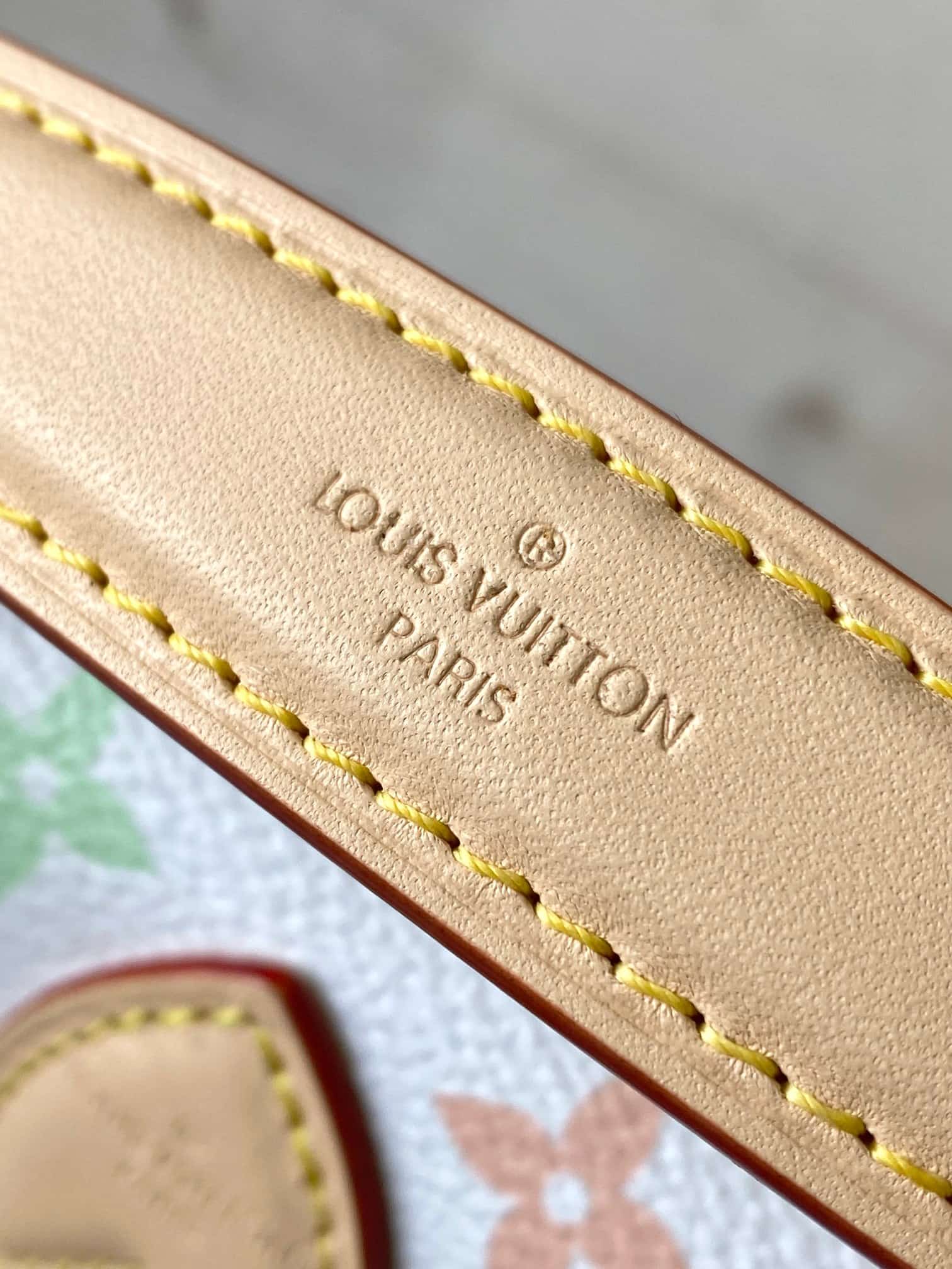 Louis Vuitton x Murakami Bolsa Diane Nano Canvas Monogram M14194 Top