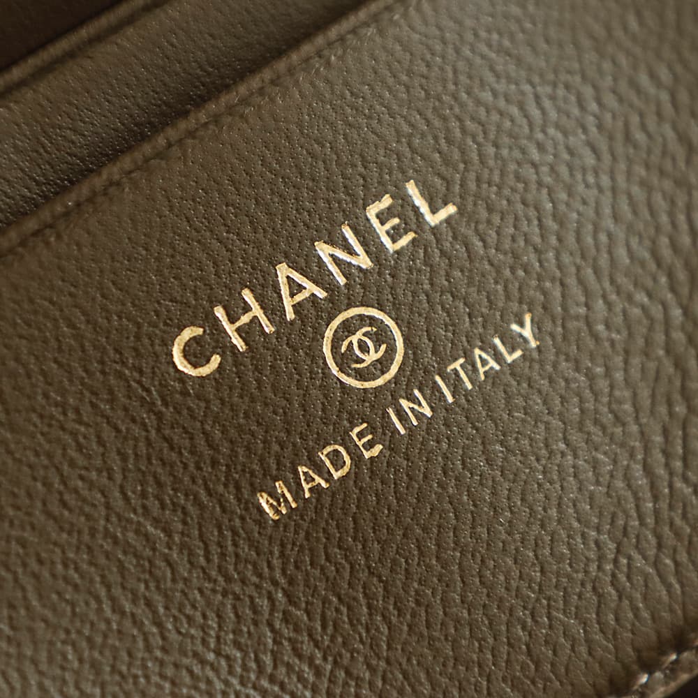 Chanel Small Vanity with chain Lizard Embossed Calfskin & Gold-Tone Metal Dark Khaki AS5195 A