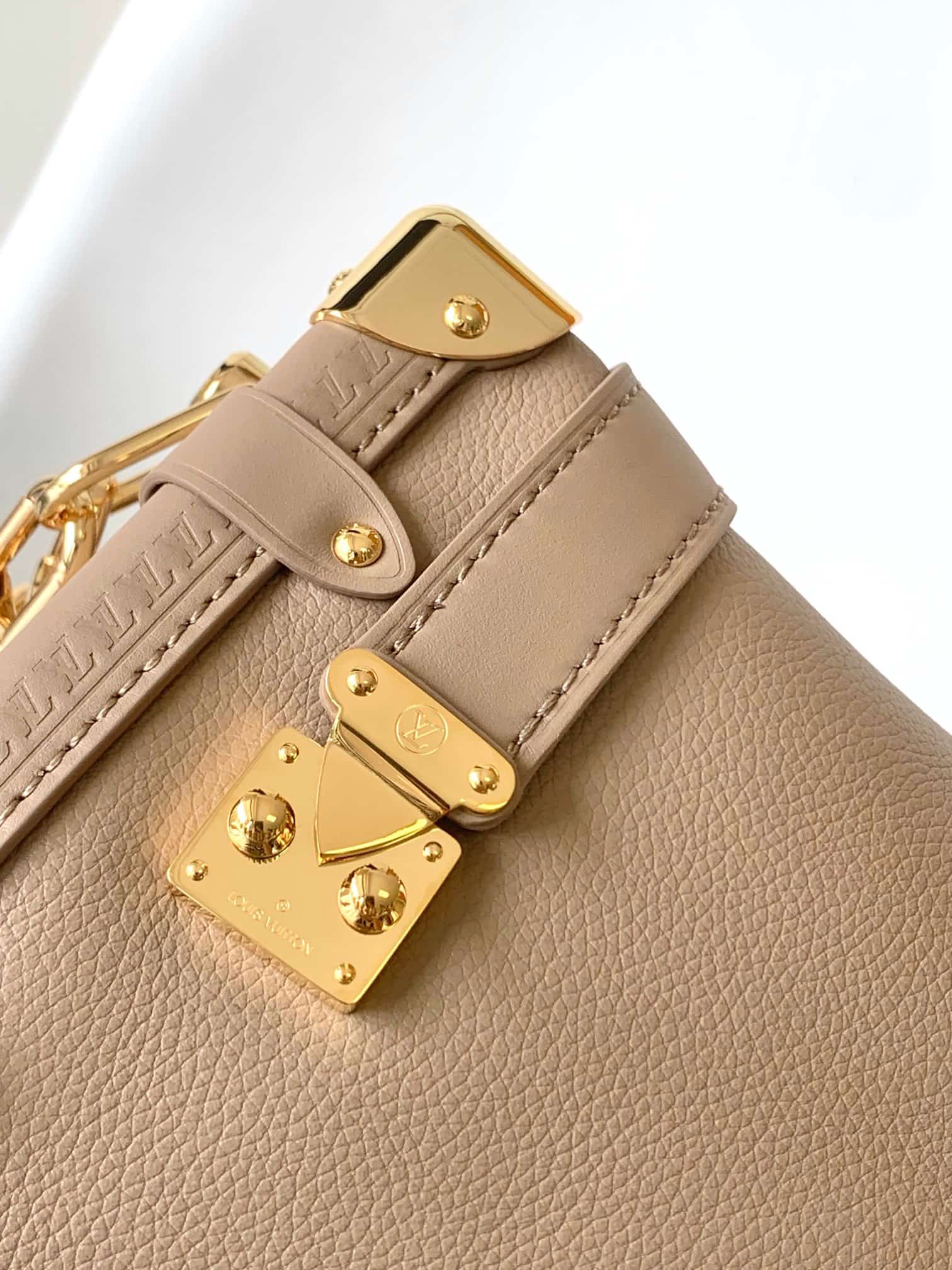 Louis Vuitton Side Trunk MM Grained calf leather M25072 Taupe High