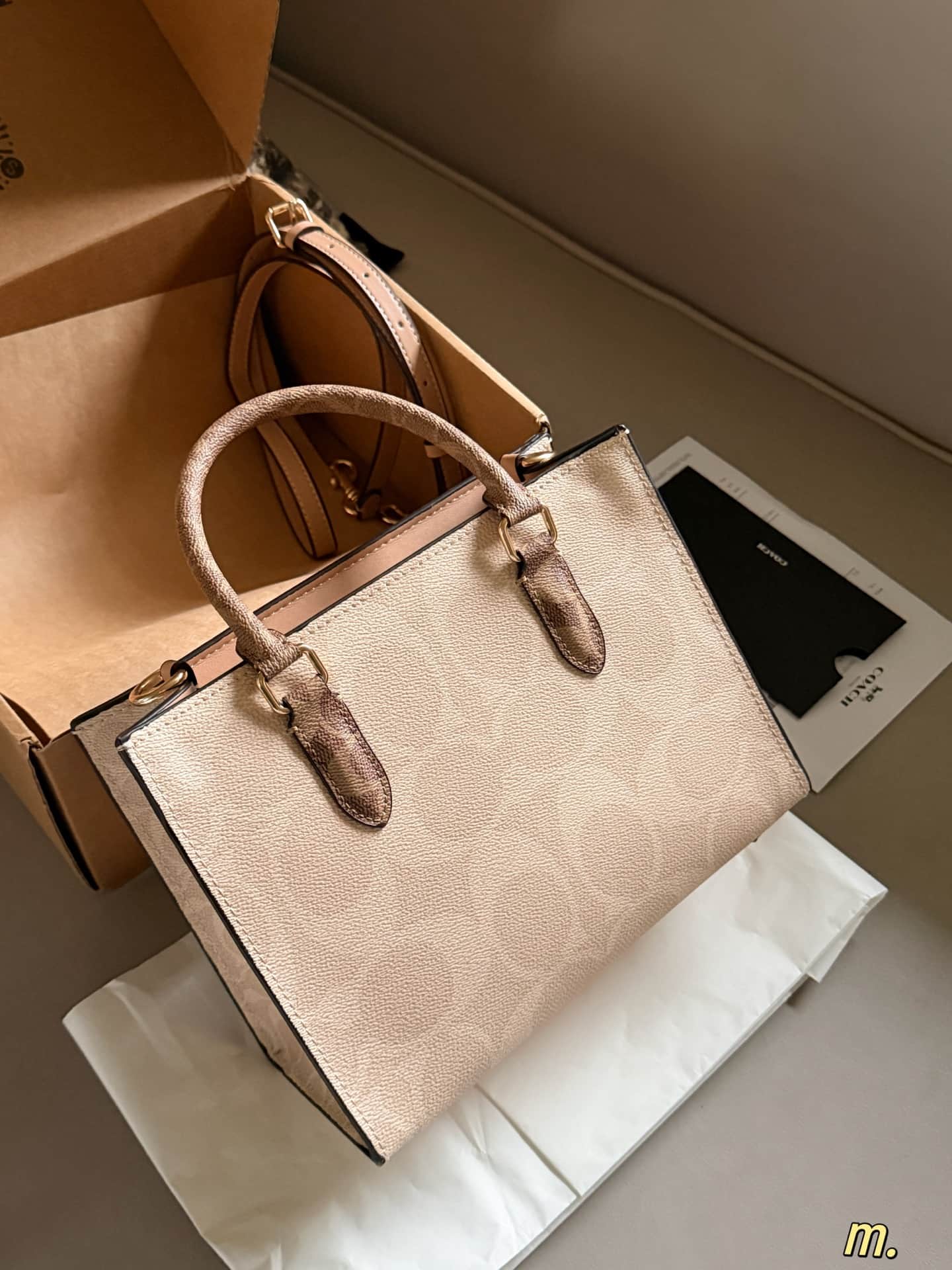 Coach Maggie Small Tote Bag Signature Canvas High