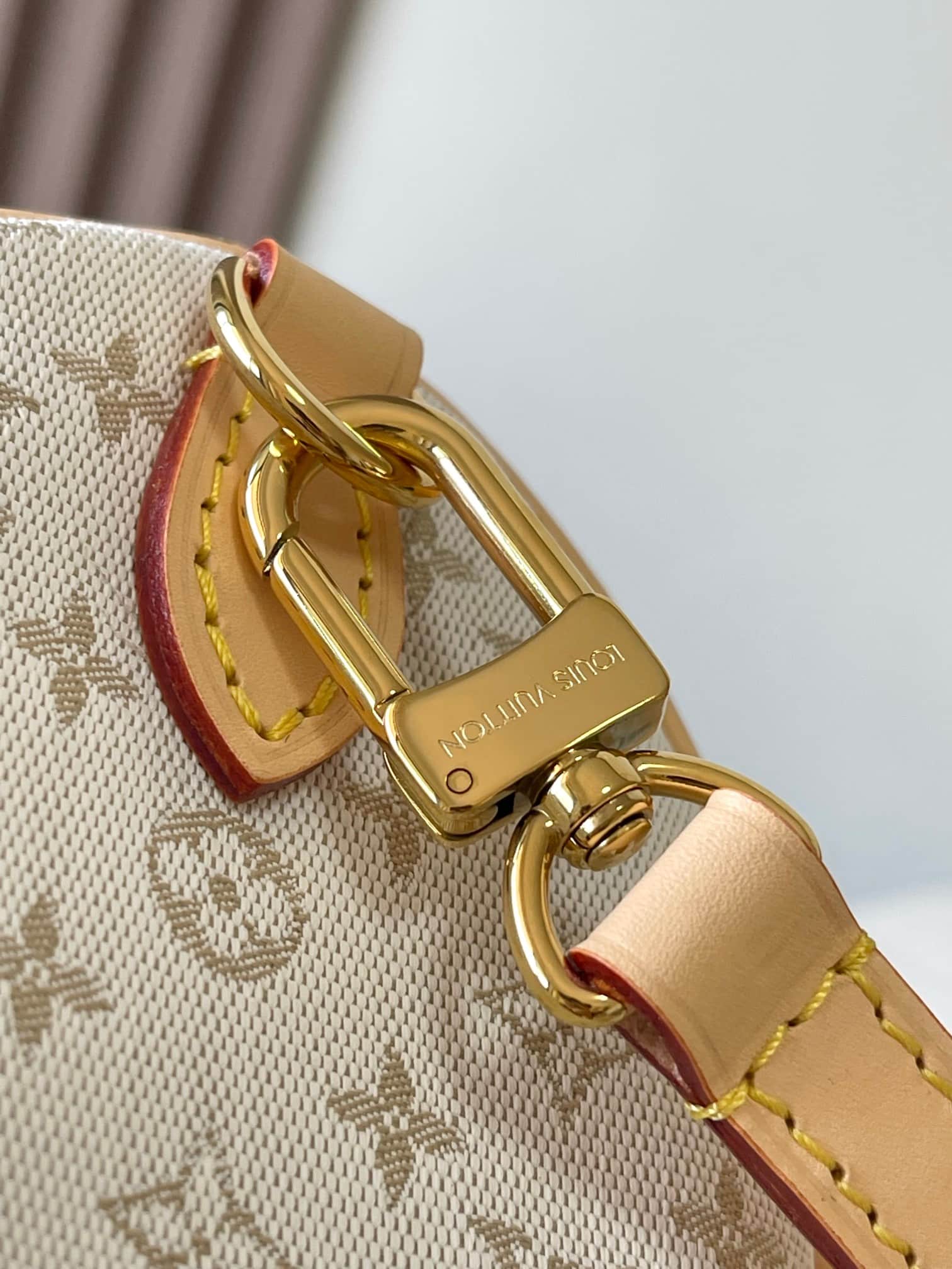 Louis Vuitton Speedy Bandoulière 20 Mastic Cream Polyamide M12747 TOP