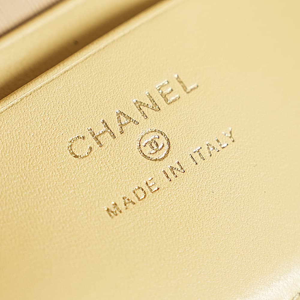 Chanel Classic Vanity with Chain Braided Raffia & Gold-Tone Metal Beige AP4385 A