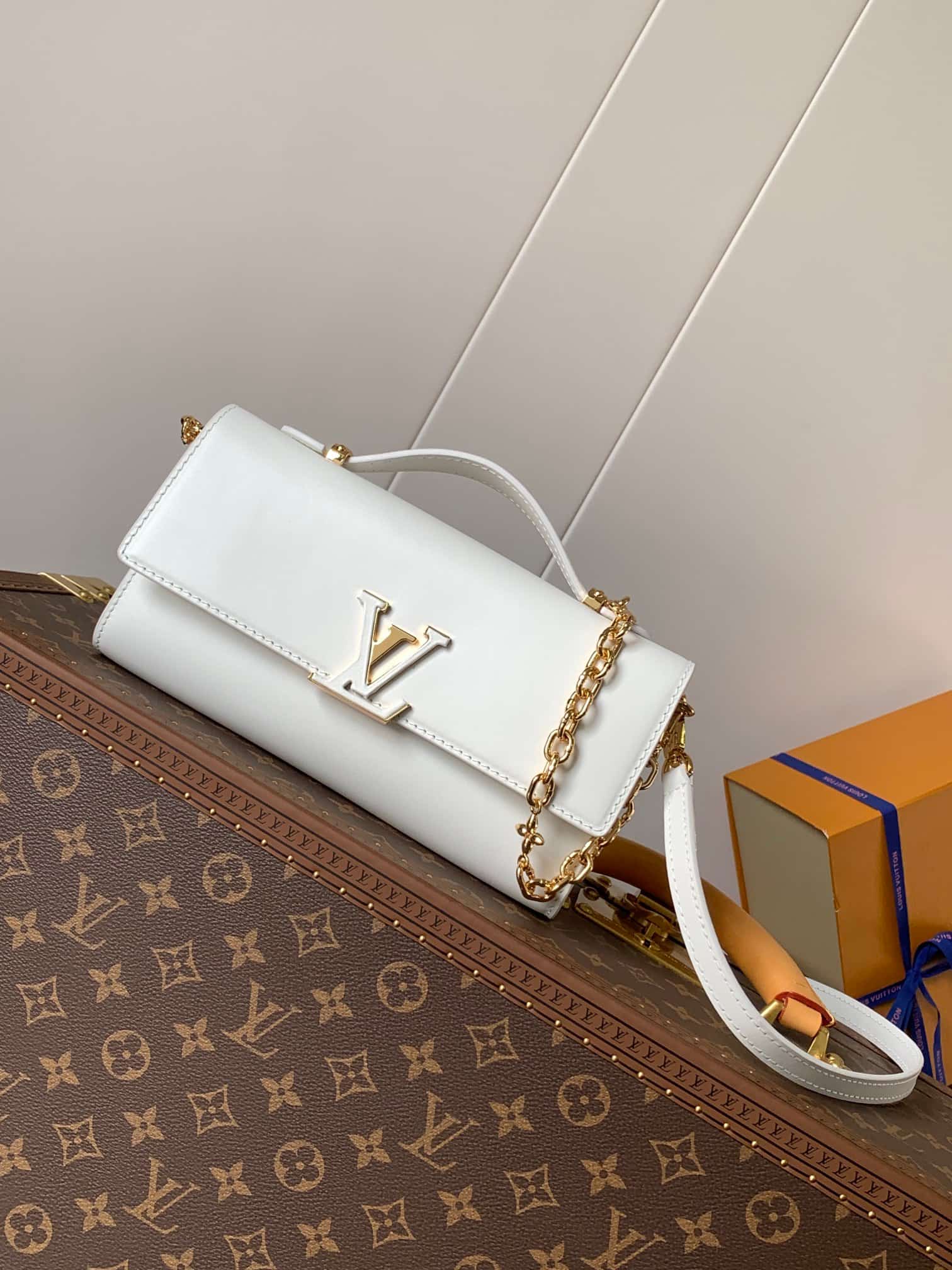 Louis Vuitton Wallet On Chain Capucines Snow Calf leather M12265 High