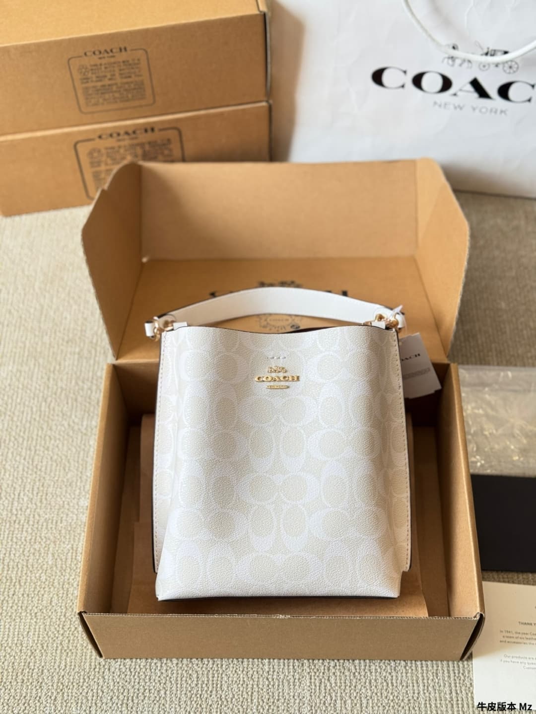 Coach Mollie Bucket Bag 22 In Signature Canvas