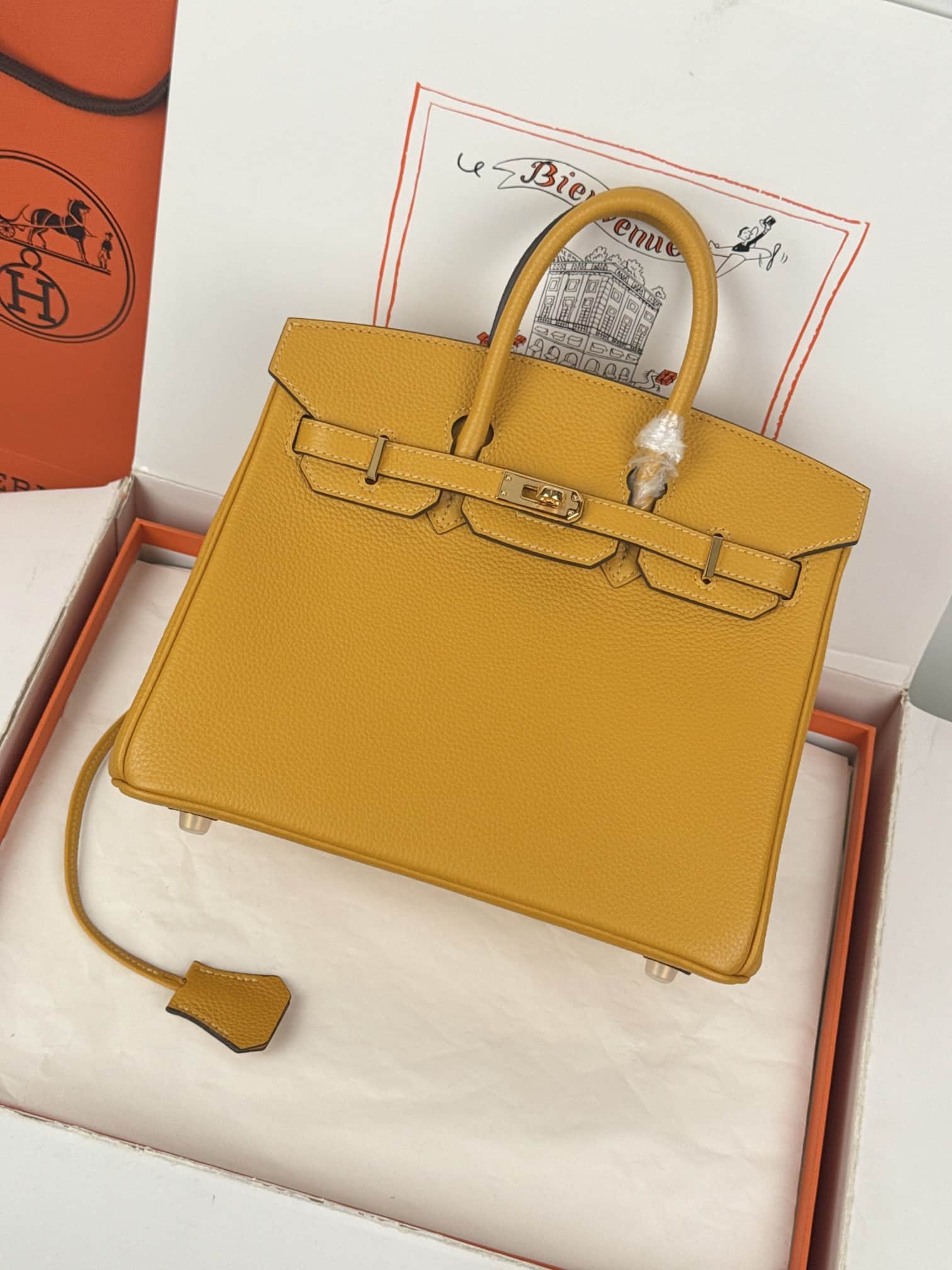 Hermes Birkin 25/30 Bag Togo Calfskin Leather Jaune Ambre High